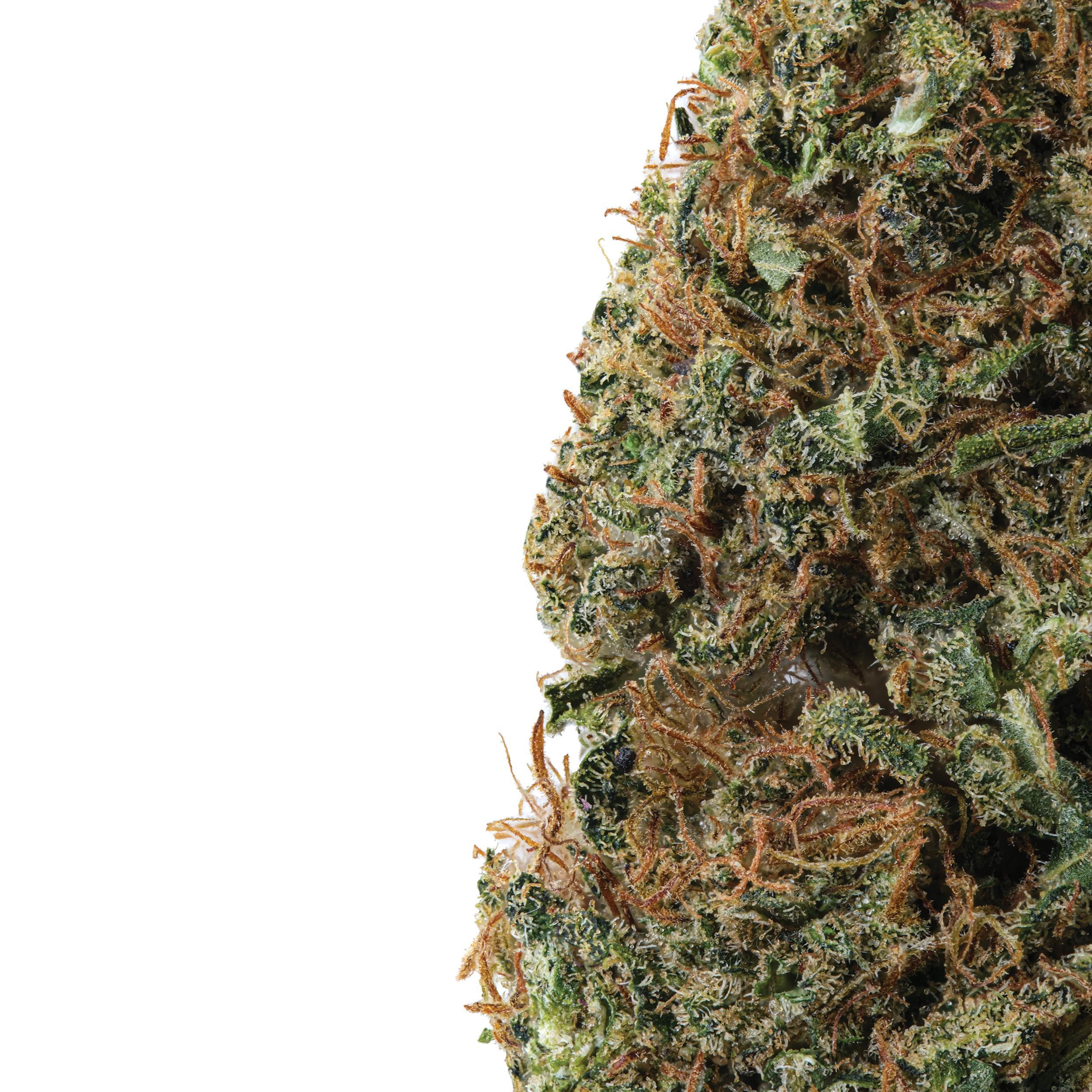 A gallery image for Sour Brûlée CBD Hemp Flower