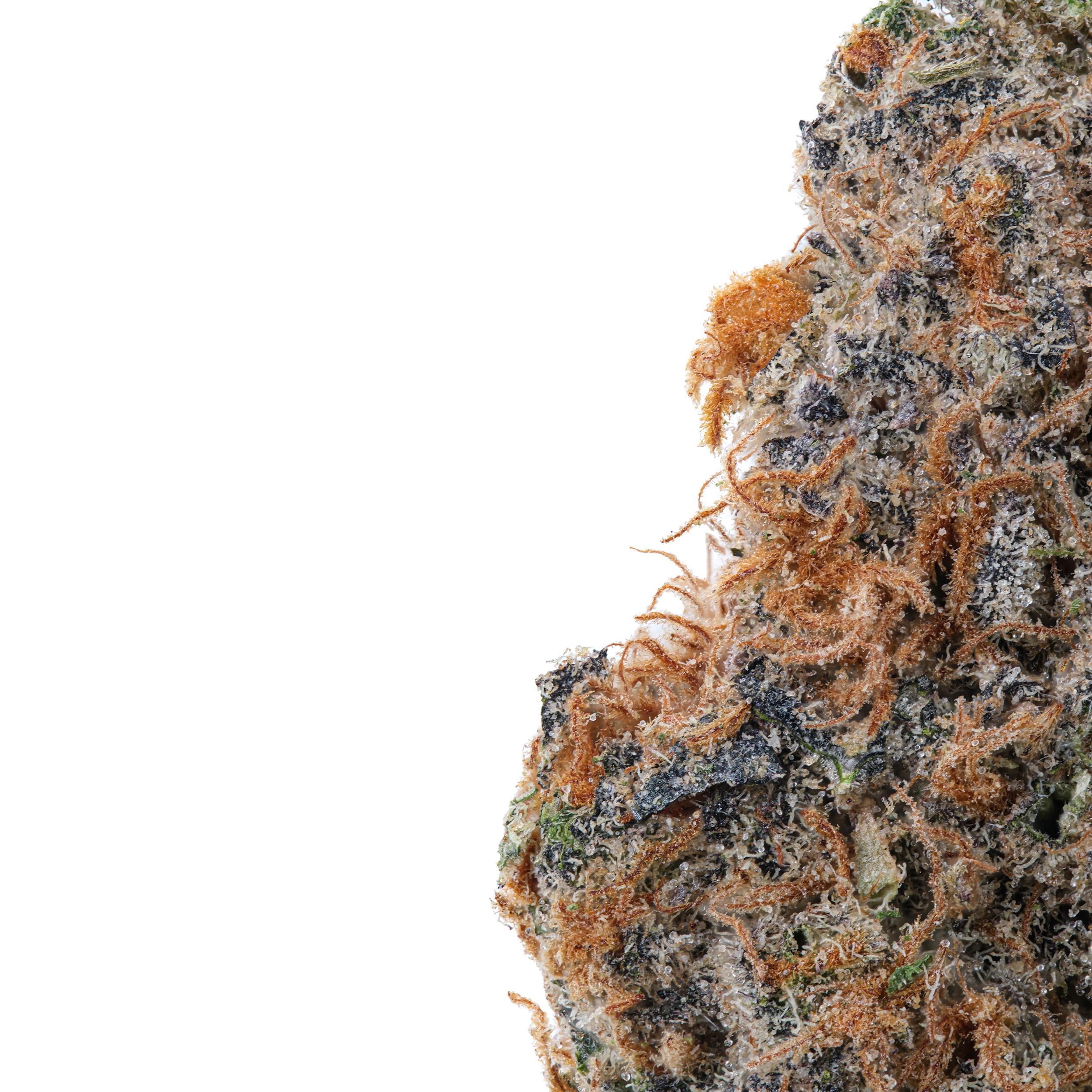 A gallery image for Sour Banana Sherbet THCa Flower