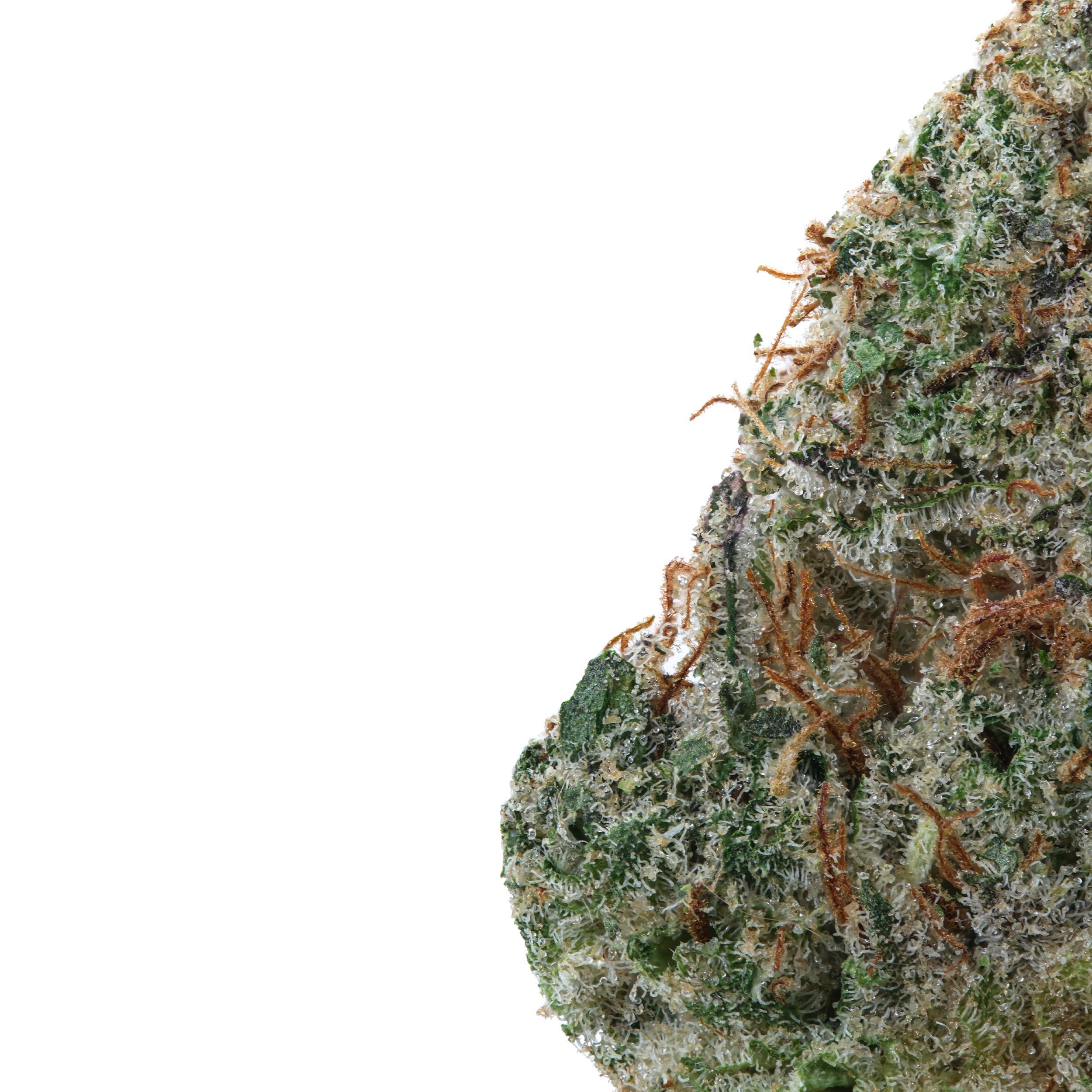 A gallery image for Trinity OG THCa Flower
