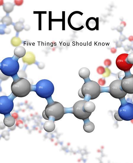 Five Things You Should Know About THCa Image