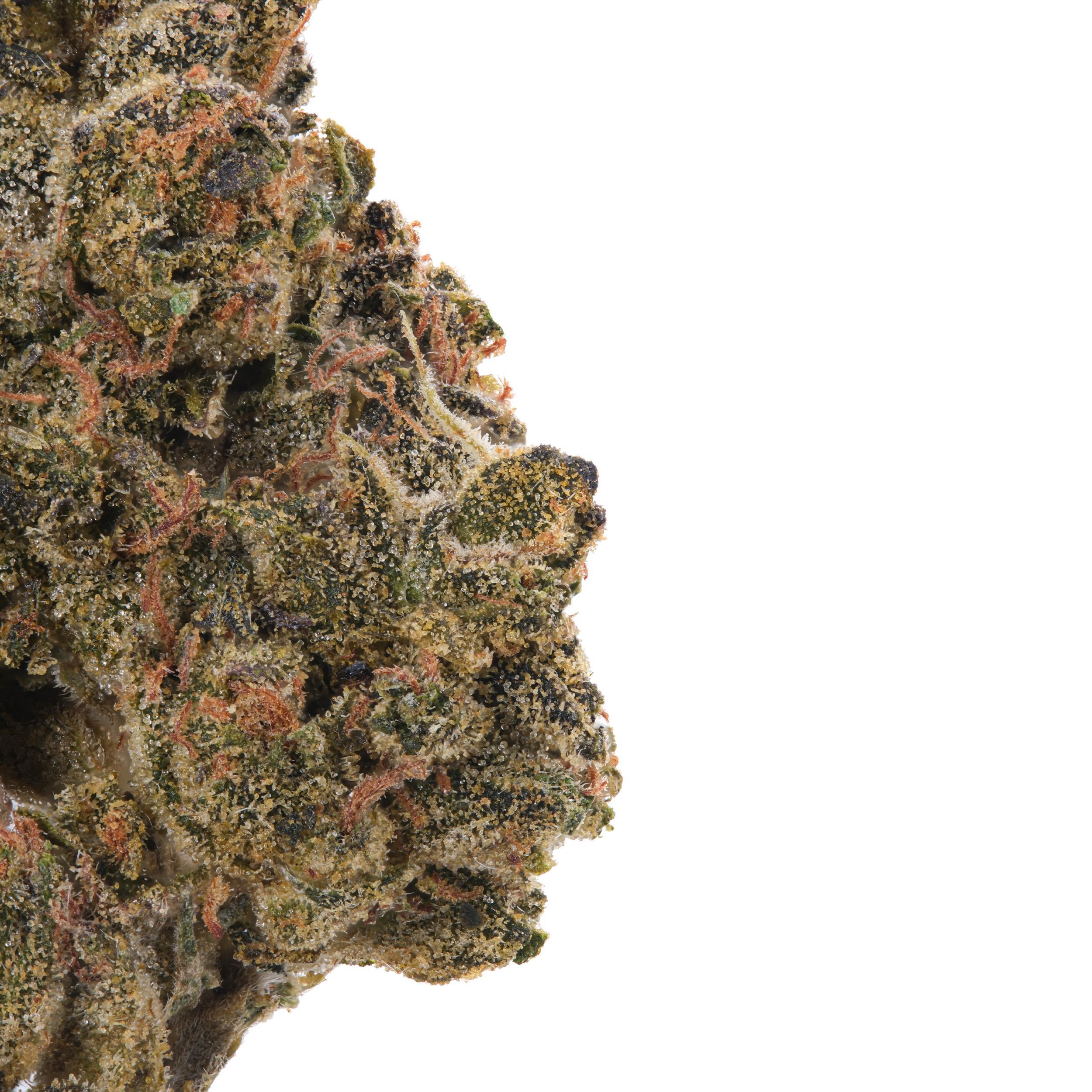 A gallery image for Dragon’s Fire THCa Flower