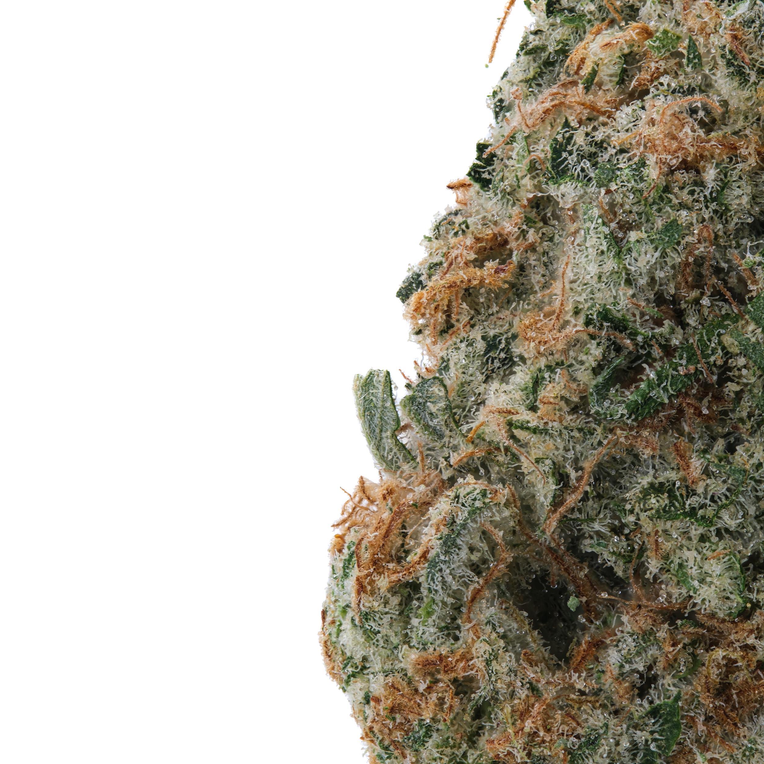 A gallery image for Hazy Train THCa Flower