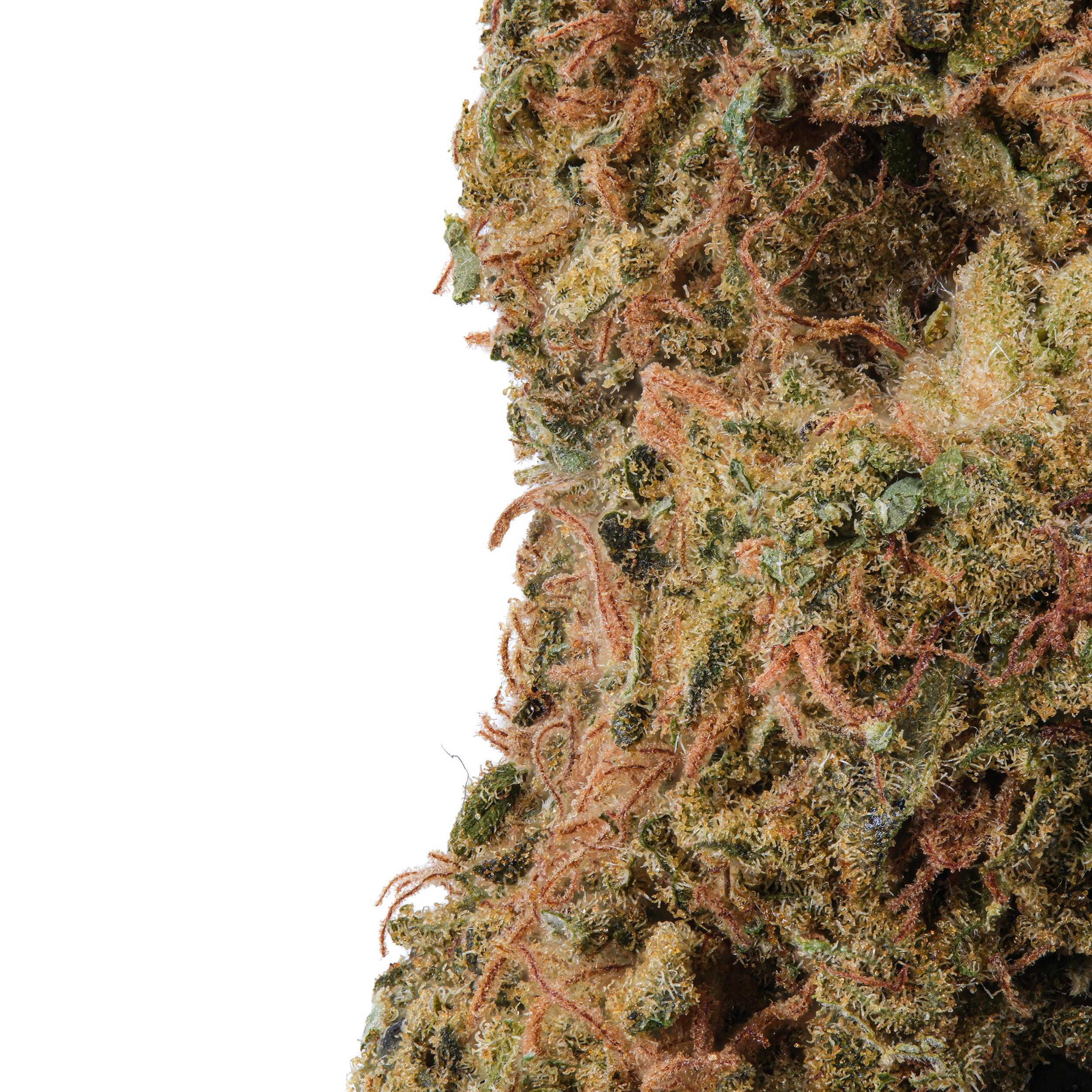A gallery image for Garlic Breath THCa Flower