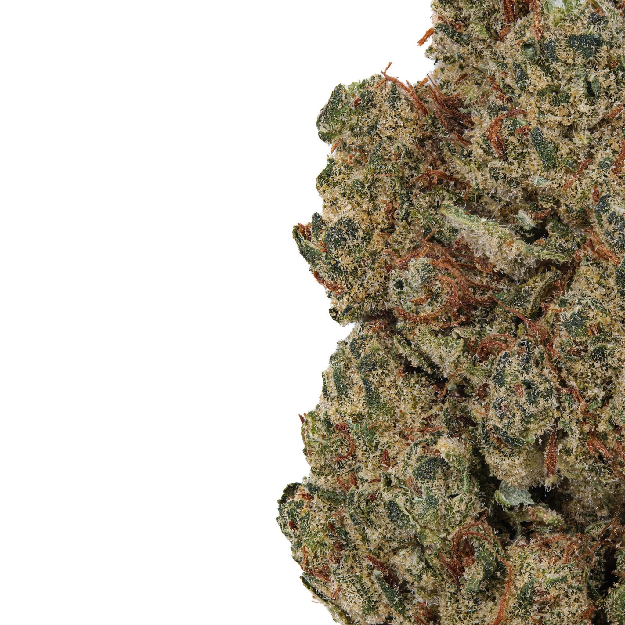 A gallery image for Fruit Angry THCa Flower
