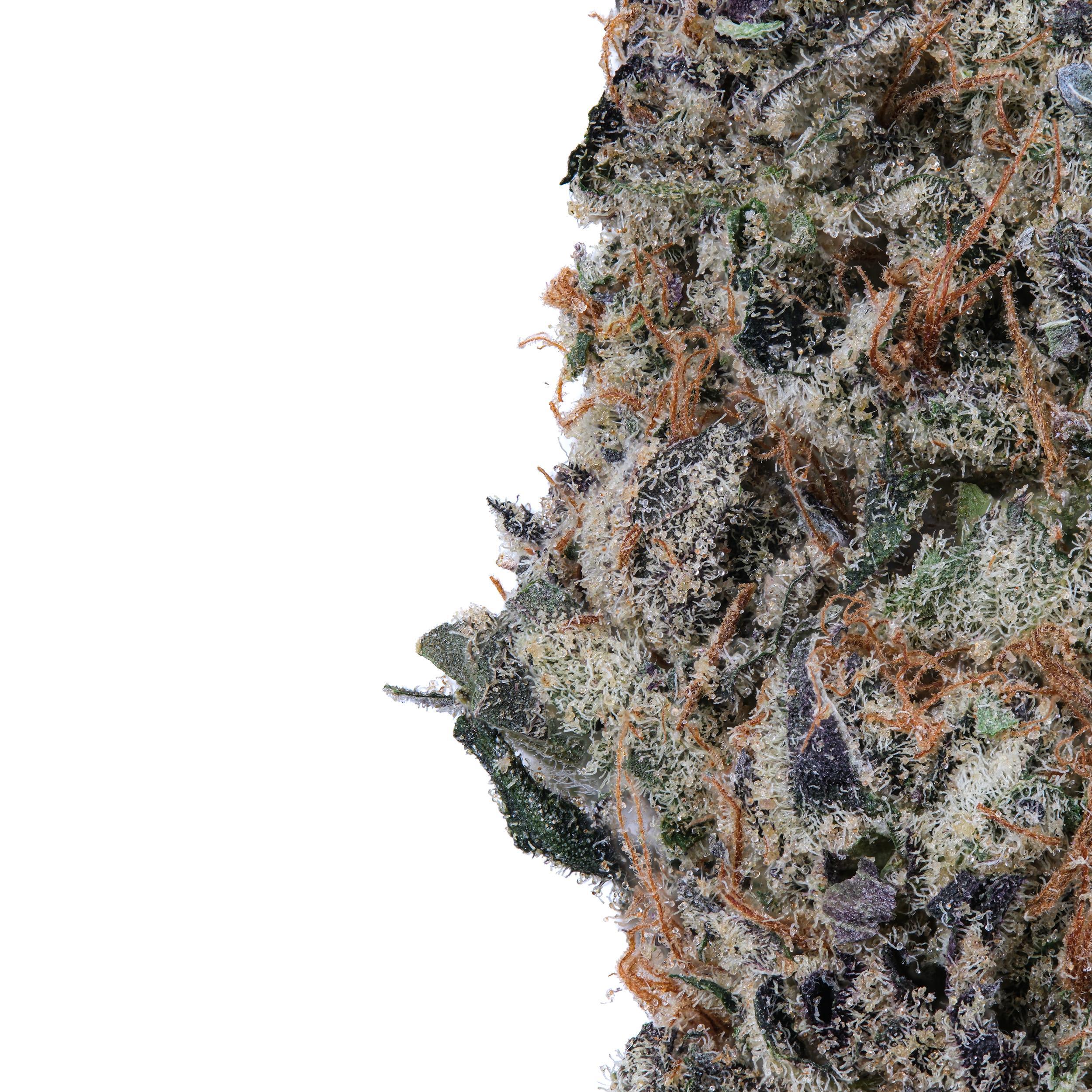 A gallery image for Mimosa Sundae THCa Flower