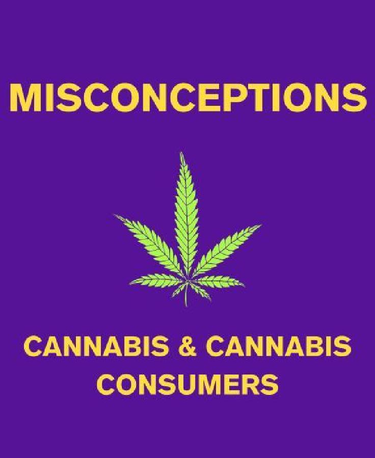 Misconceptions About Cannabis and Cannabis Consumers Image