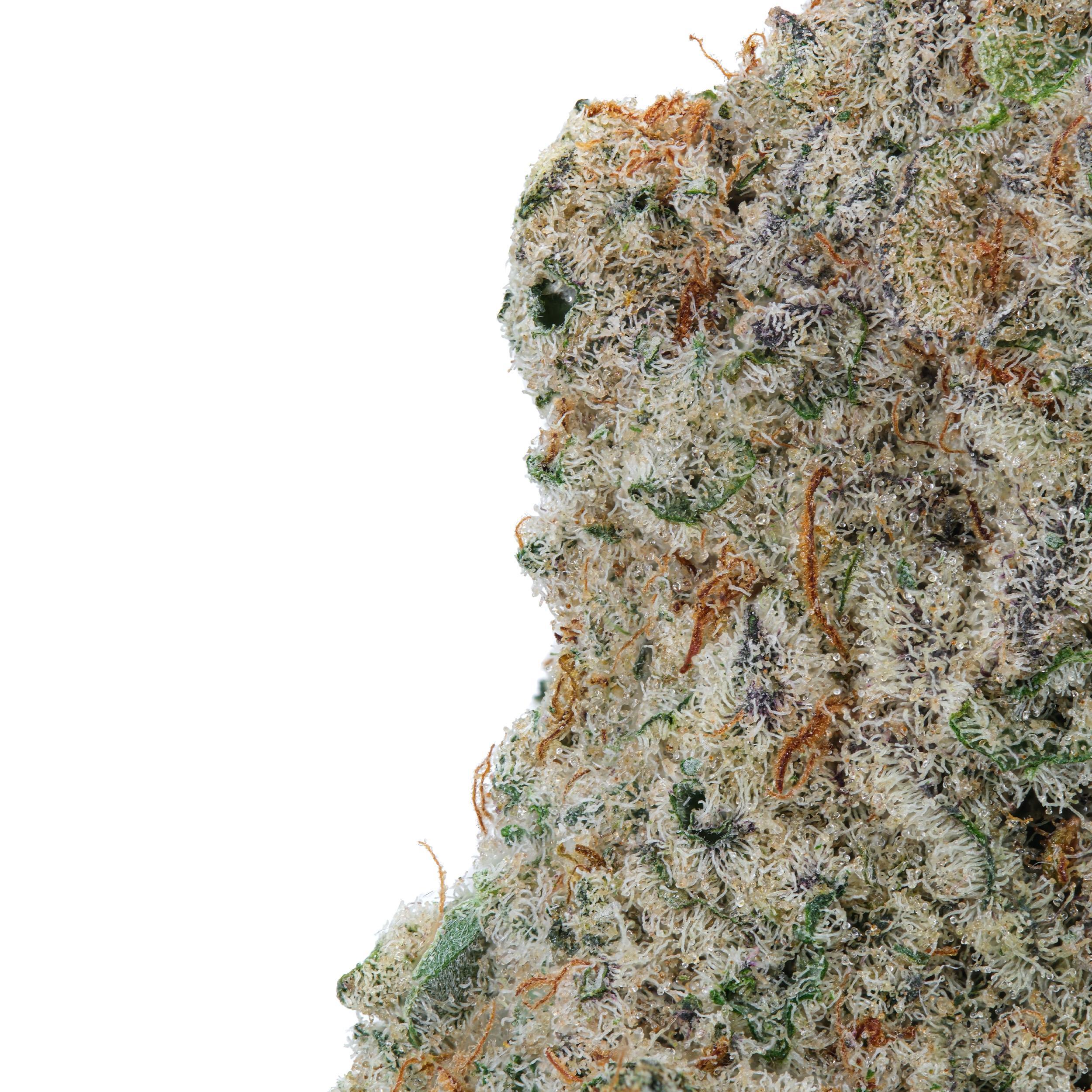 A gallery image for Purple Urkle THCa Flower