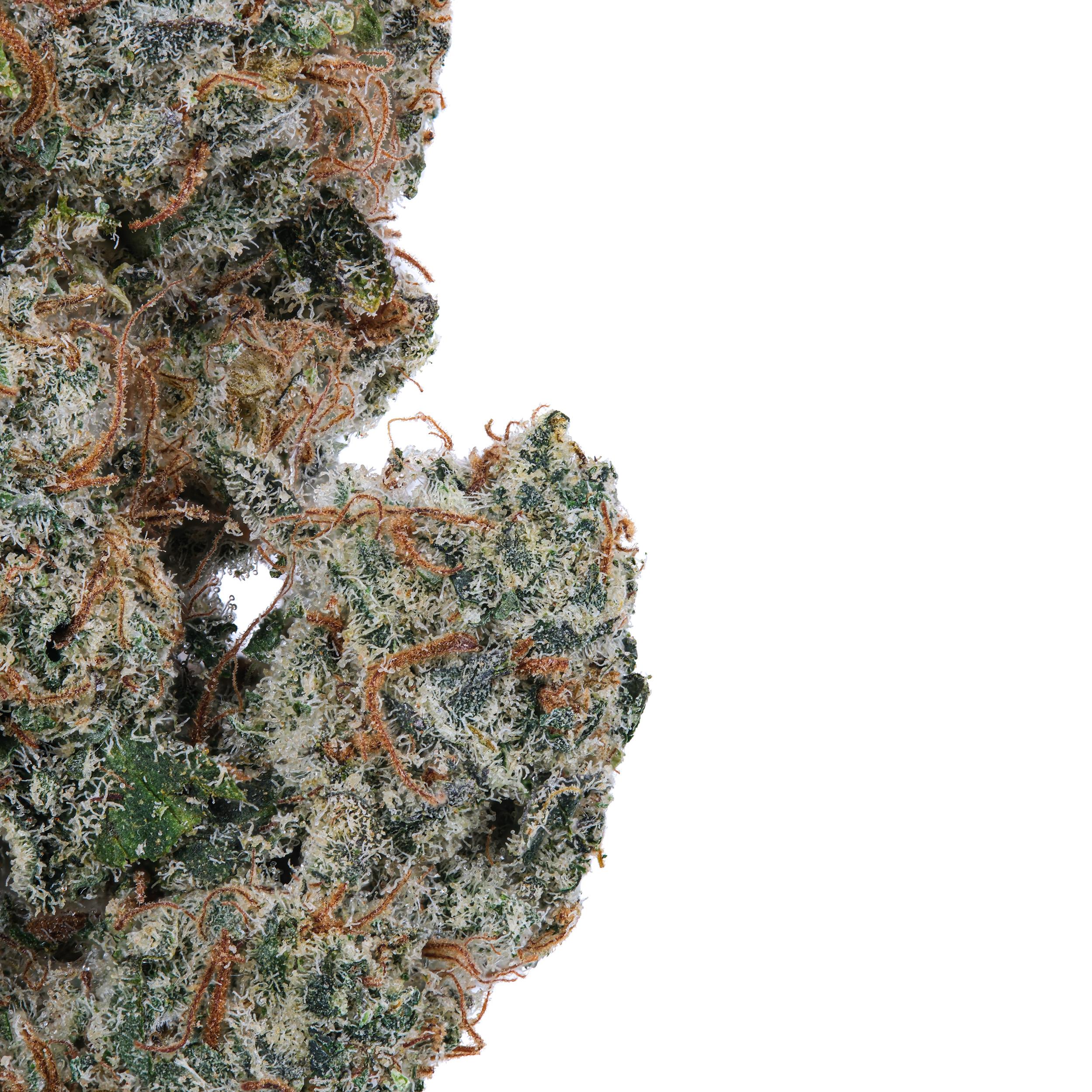 A gallery image for Sunset MAC THCa Flower