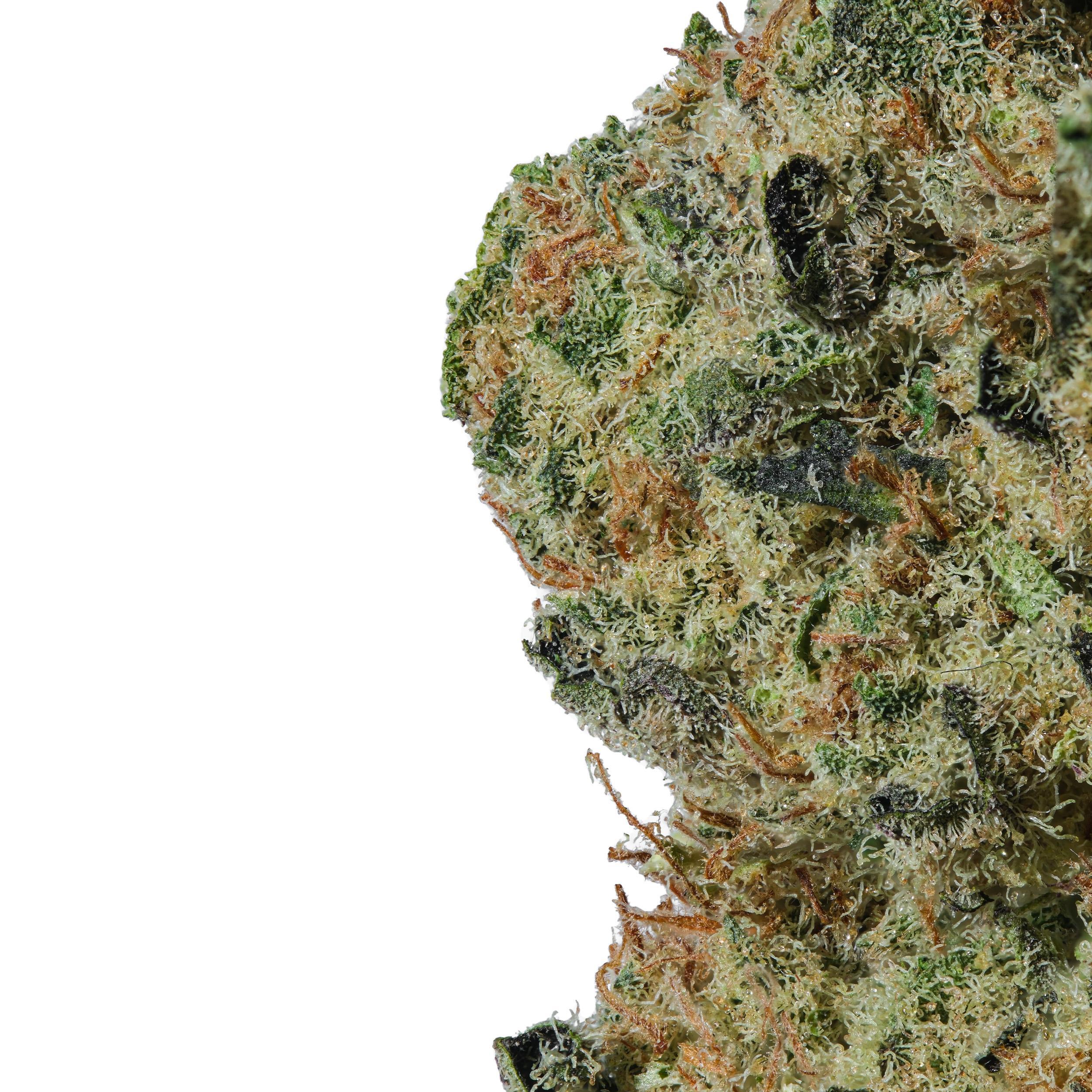 A gallery image for Dream N Sour THCa Flower