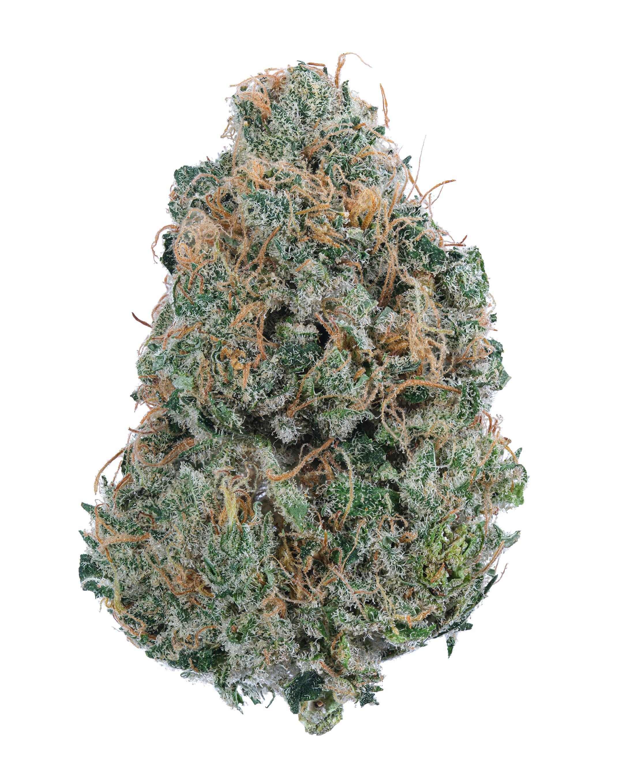 The product image for Lemon Cookies CBD Hydroponic Hemp Flower