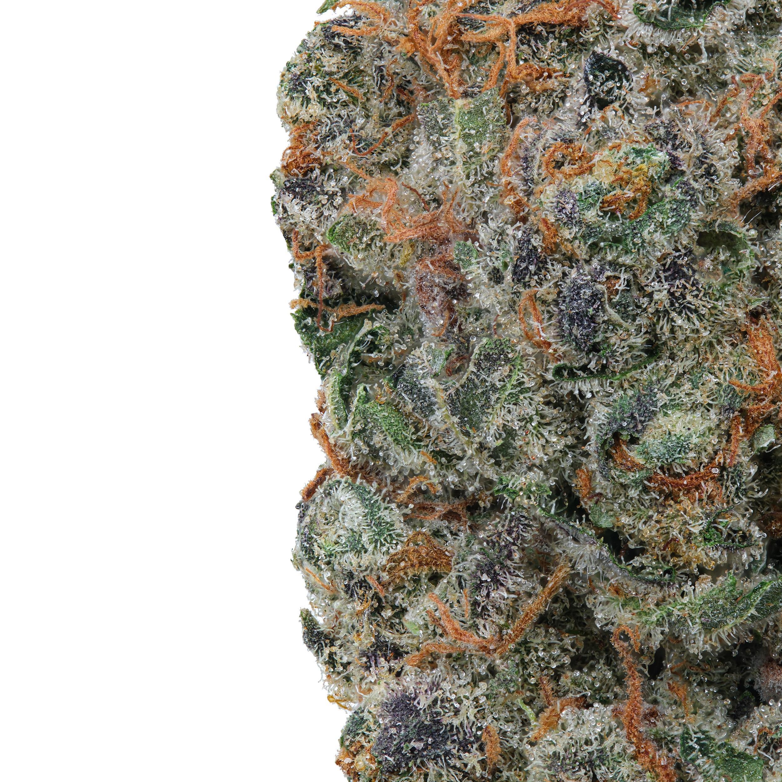 A gallery image for McFrosty THCa Flower
