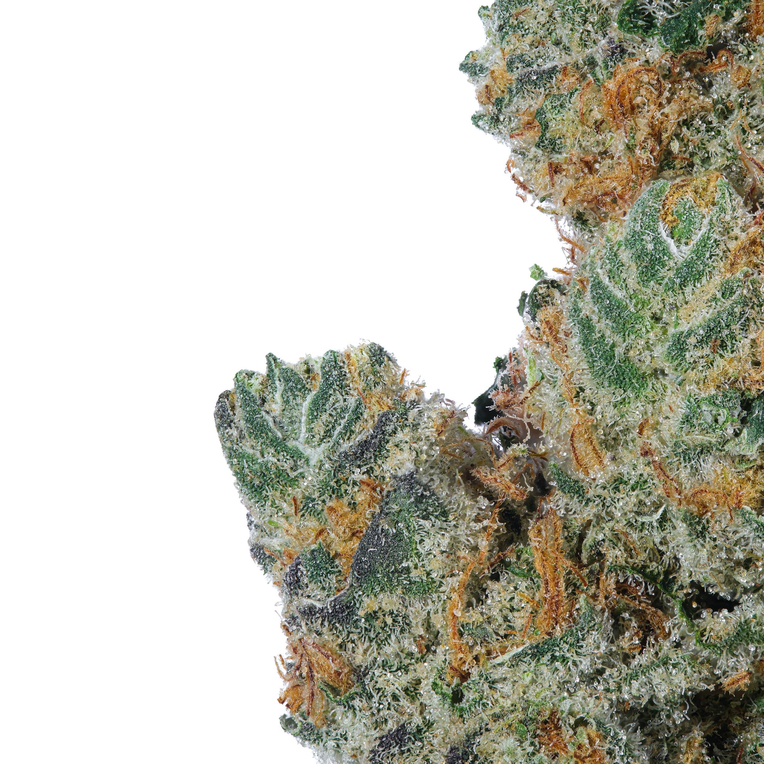 A gallery image for Meat Breath THCa Flower