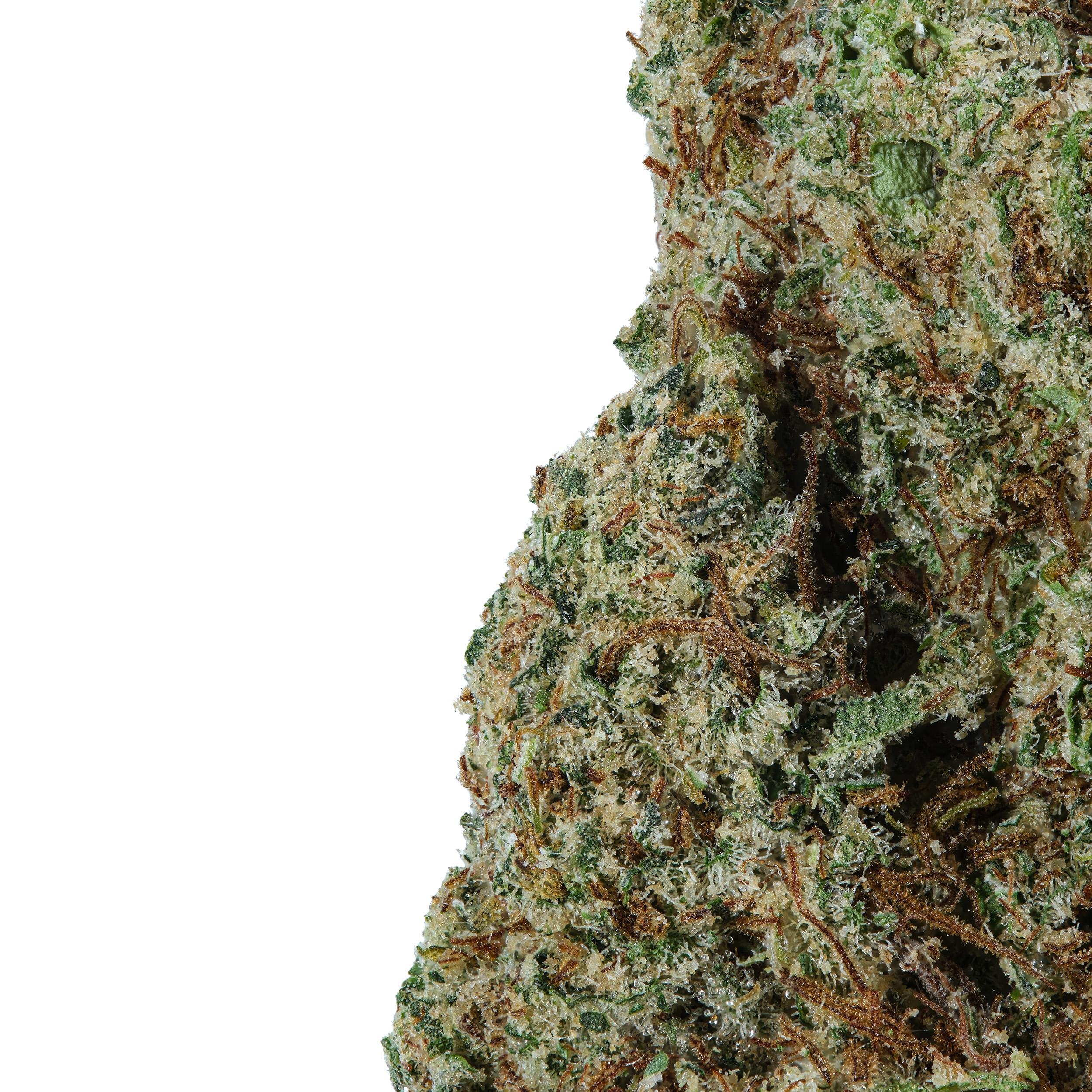 A gallery image for Purple Punch High THCa Hydroponic Hemp Flower