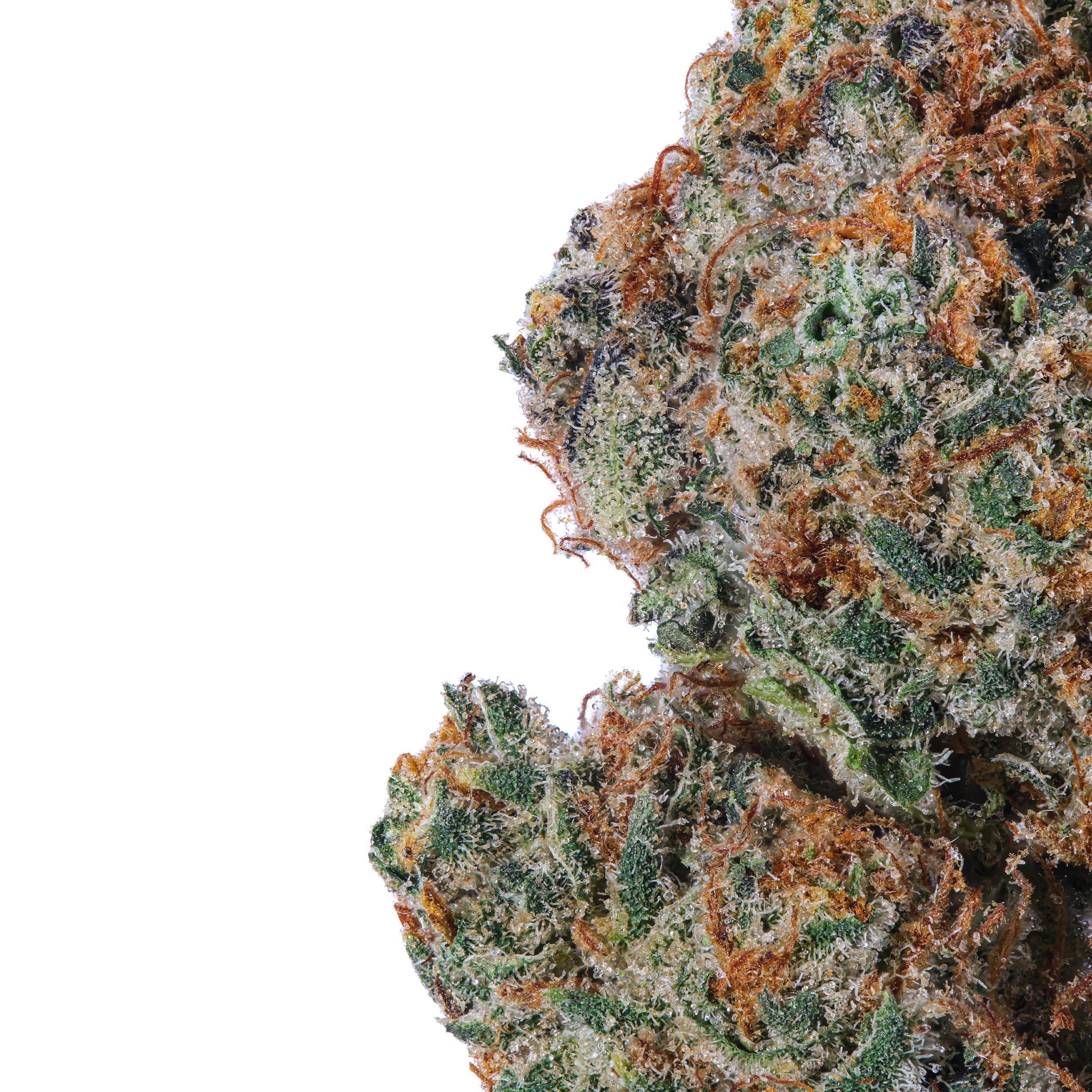 A gallery image for Tangilope THCa Flower