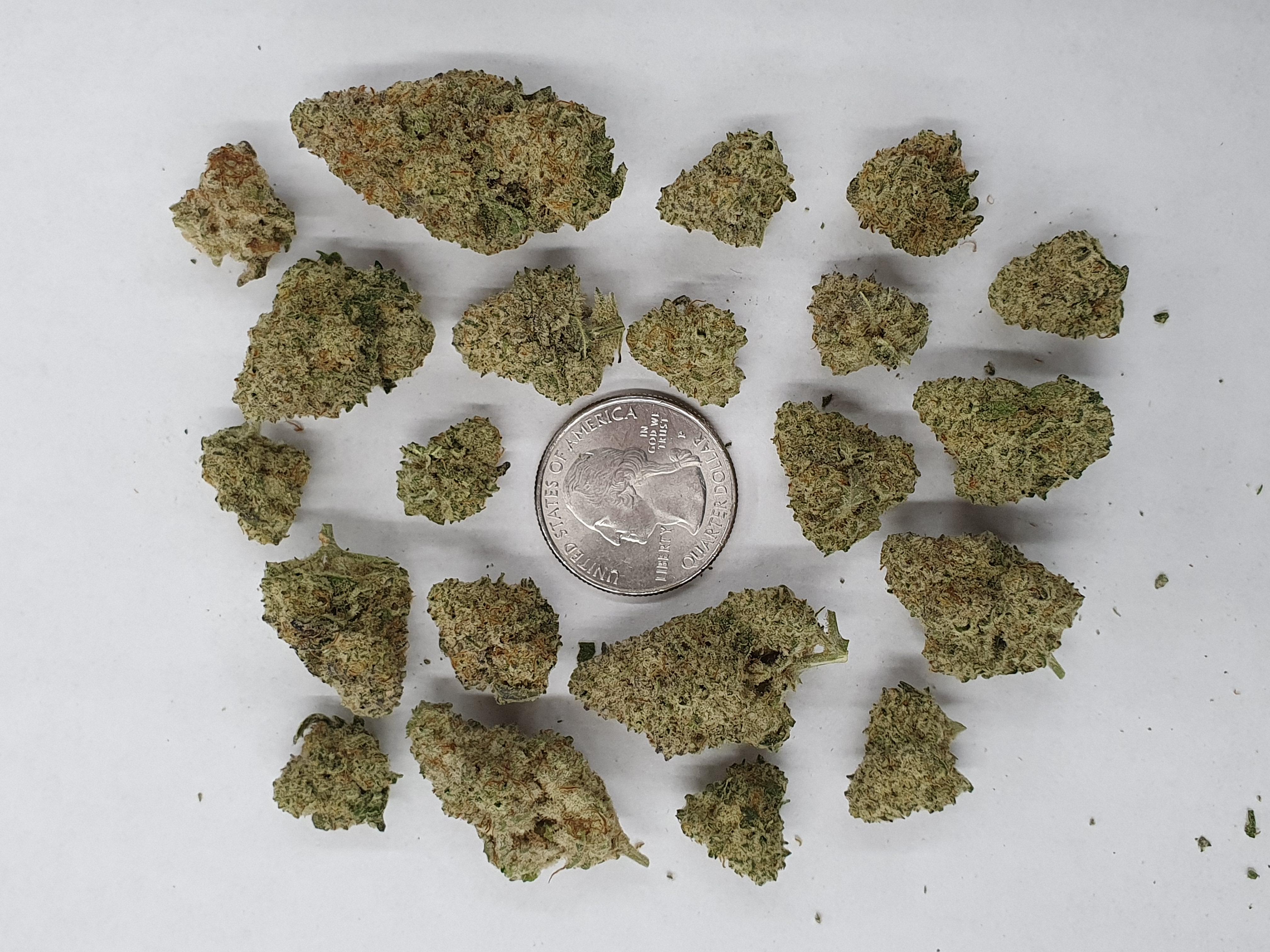 A gallery image for Blue Glue THCa Flower