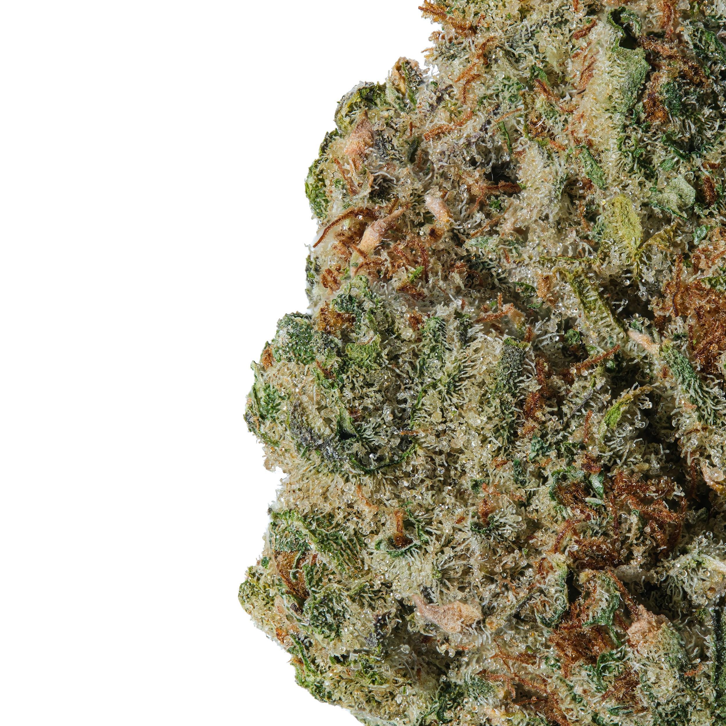 A gallery image for Lucinda Williams THCa Flower