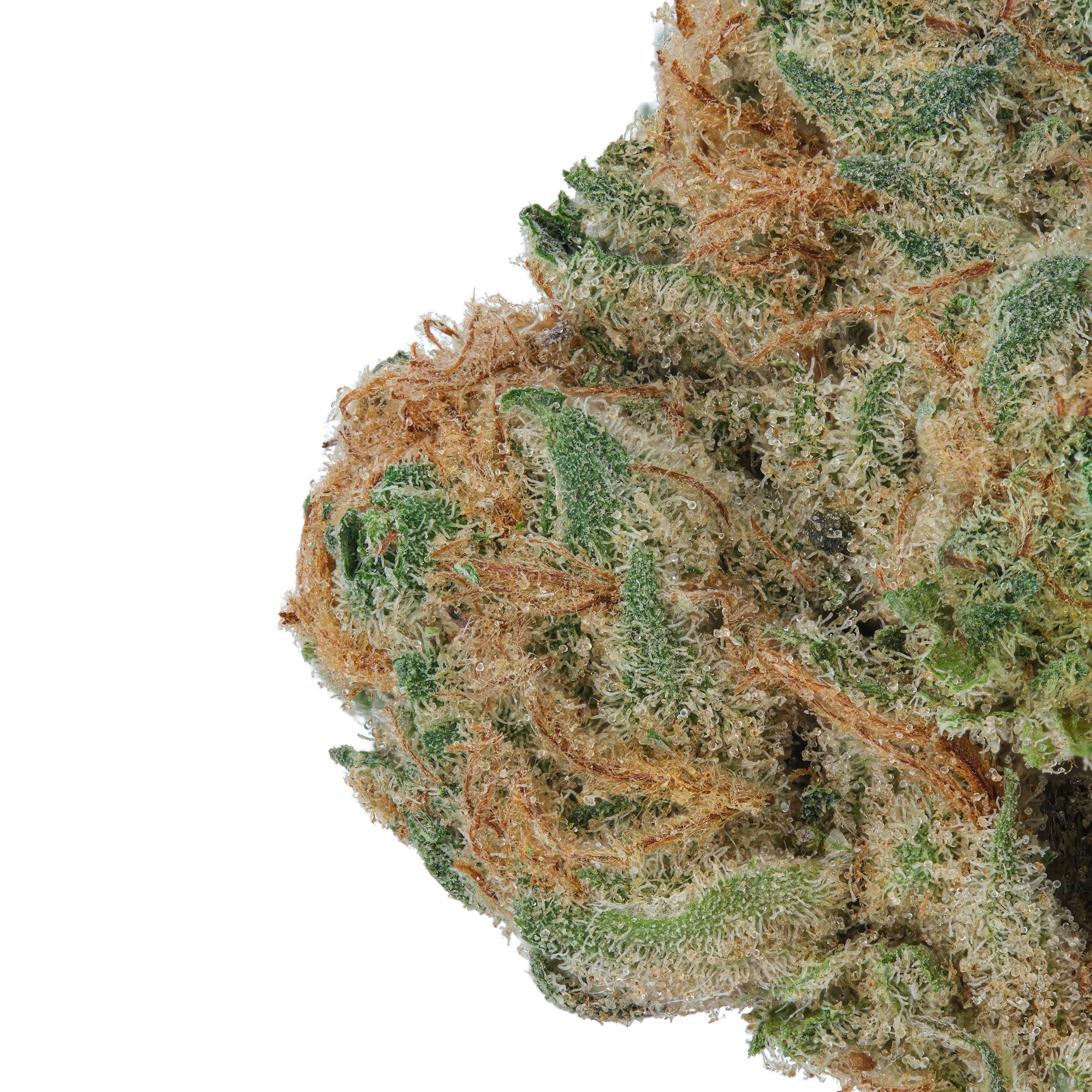 A gallery image for Mimosa THCa Flower
