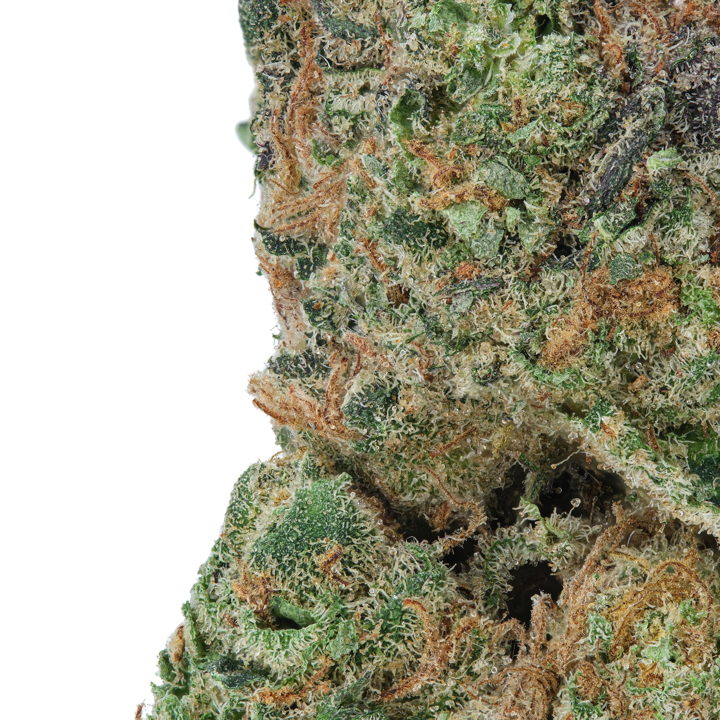 A gallery image for Mimosa THCa Flower