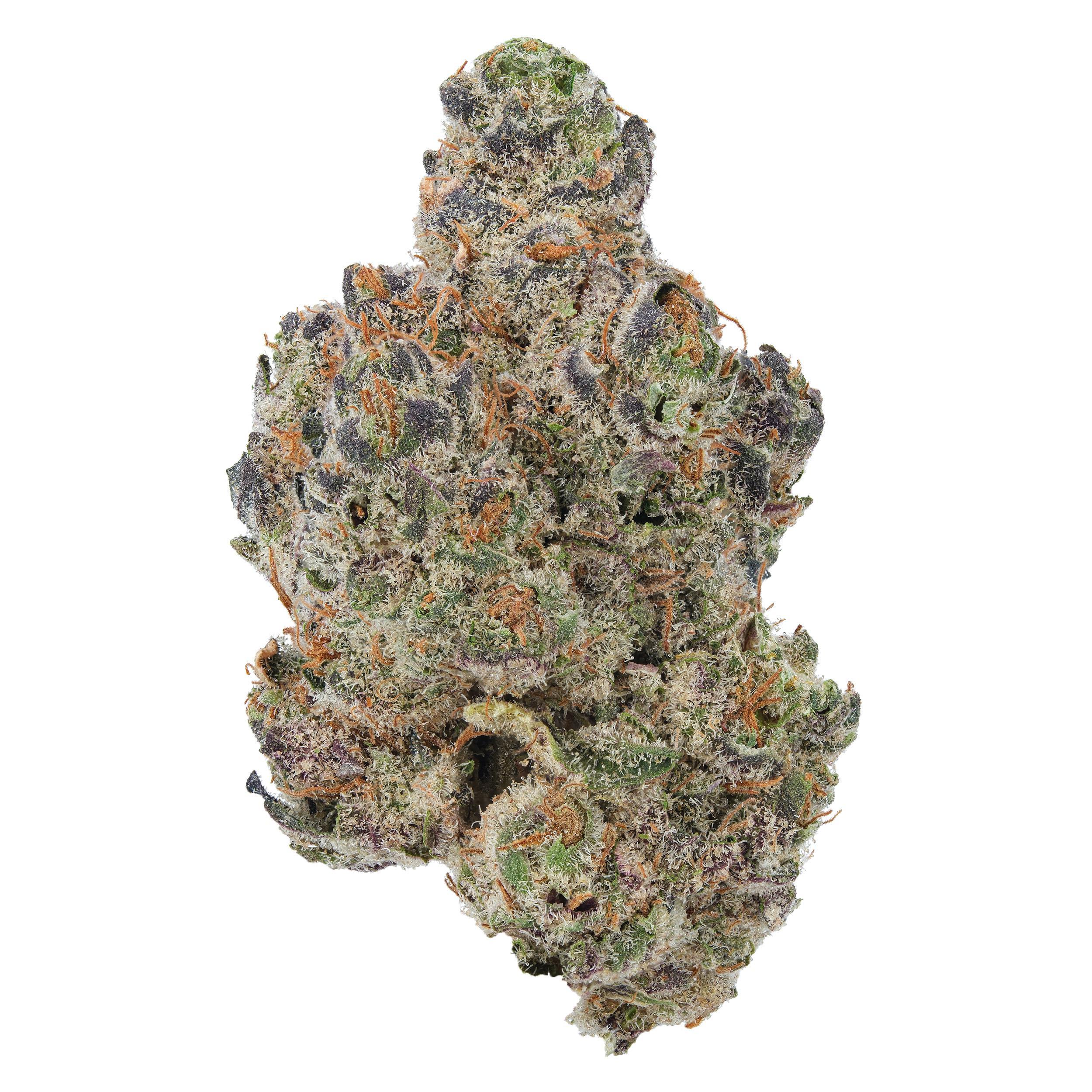 A gallery image for Buttermilk Biscuits THCa Flower