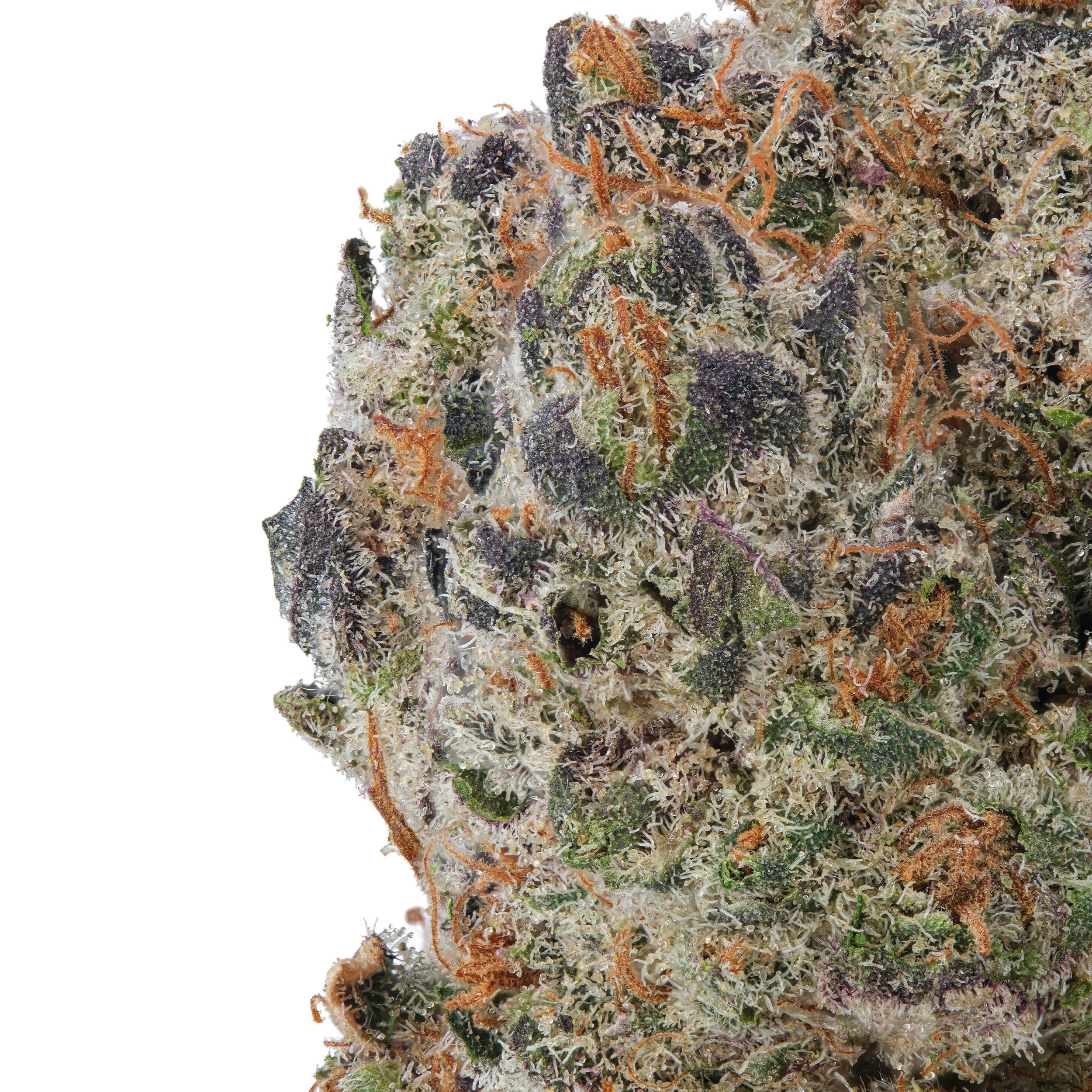 A gallery image for Buttermilk Biscuits THCa Flower