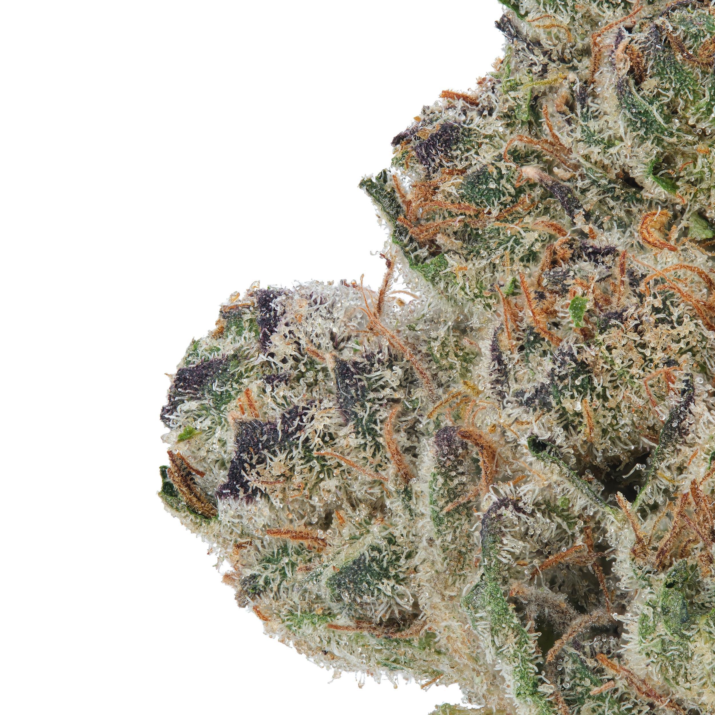 A gallery image for Buttermilk Biscuits THCa Flower