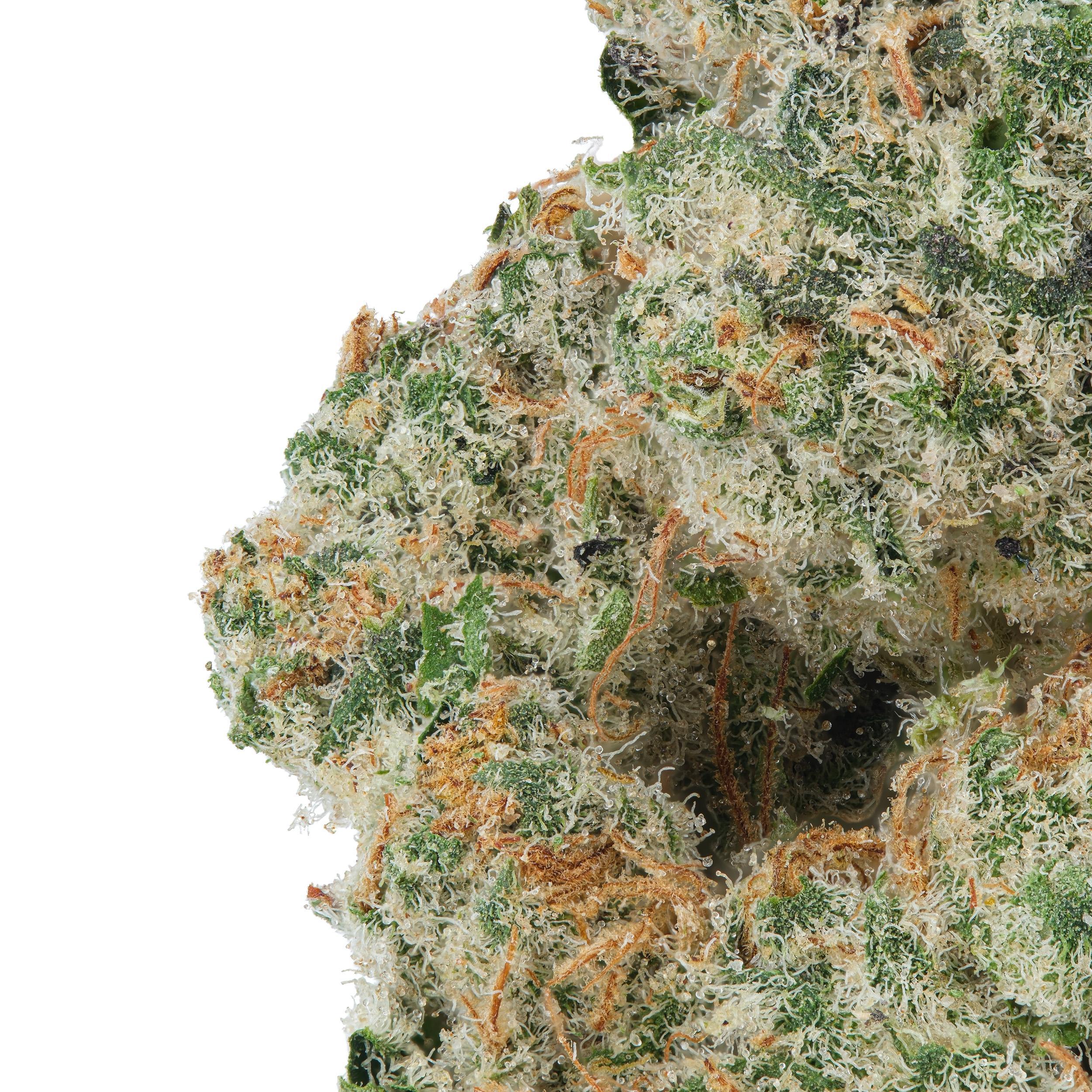 A gallery image for Cake Crasher THCa Flower