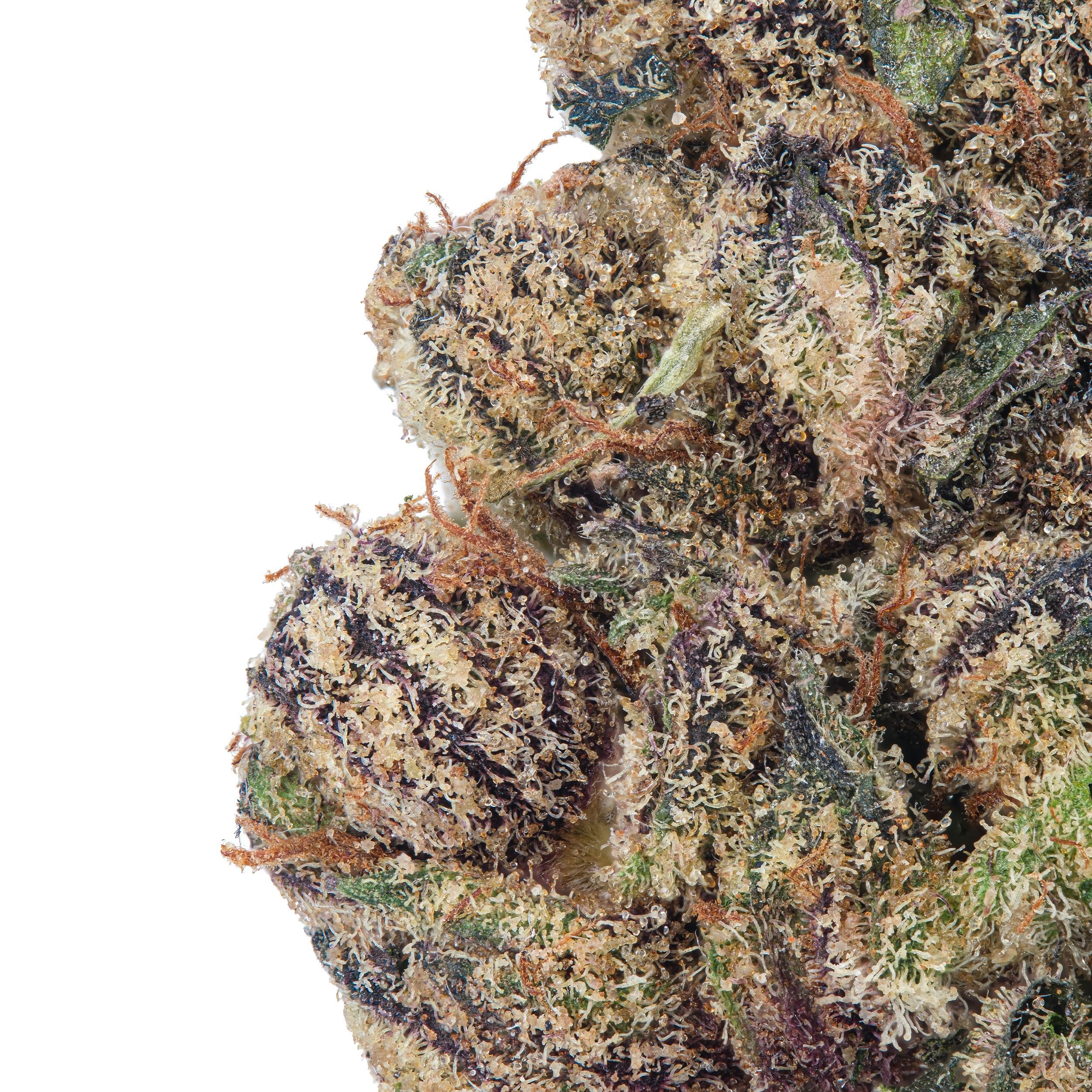 A gallery image for Candy Gelato THCa Flower