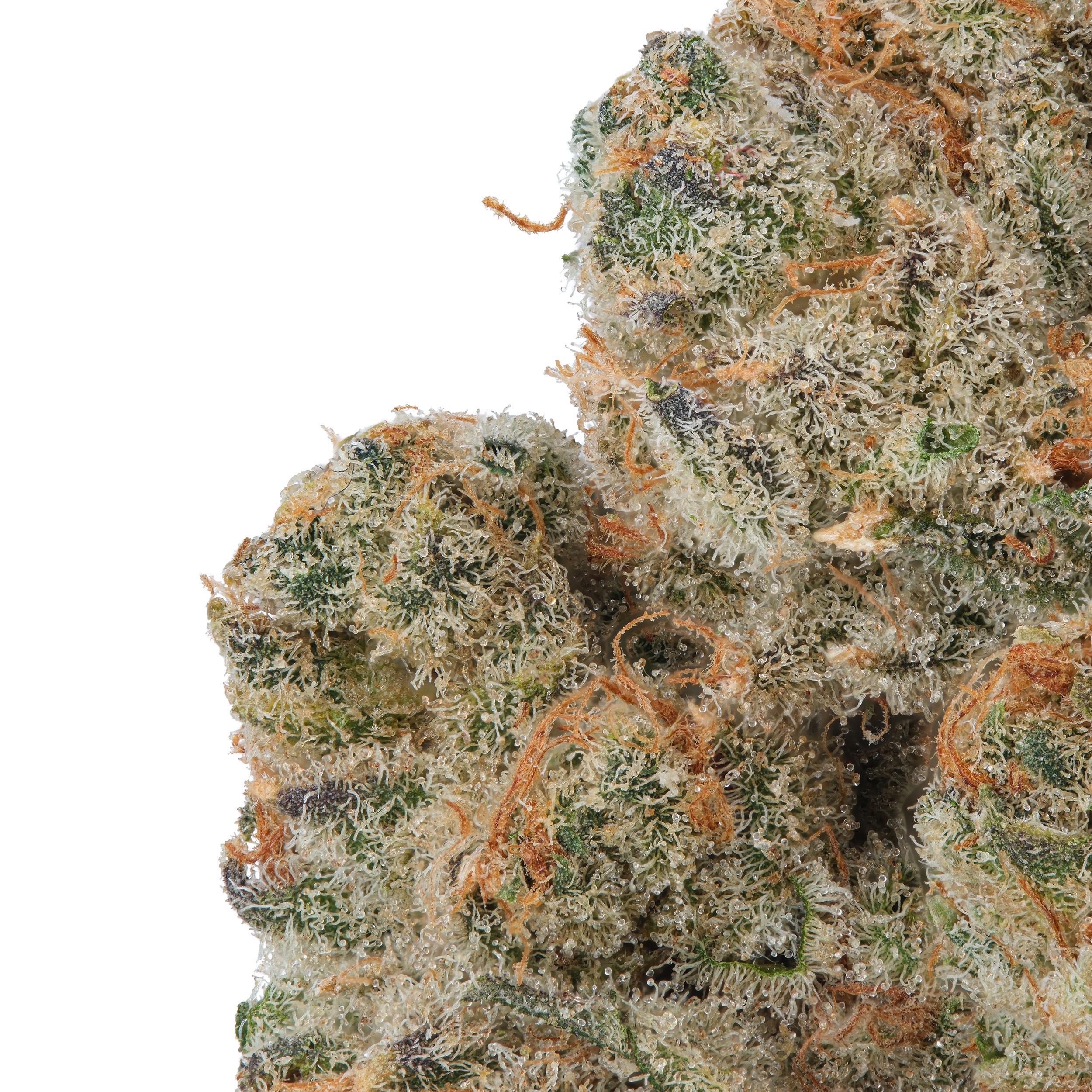 A gallery image for Dante’s Inferno THCa Flower