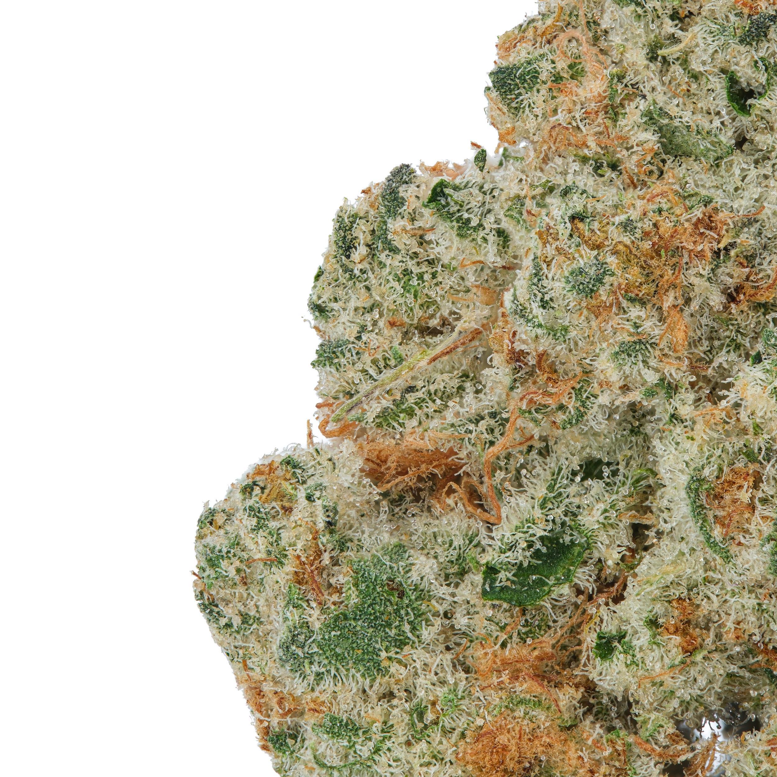 A gallery image for Dante’s Inferno THCa Flower