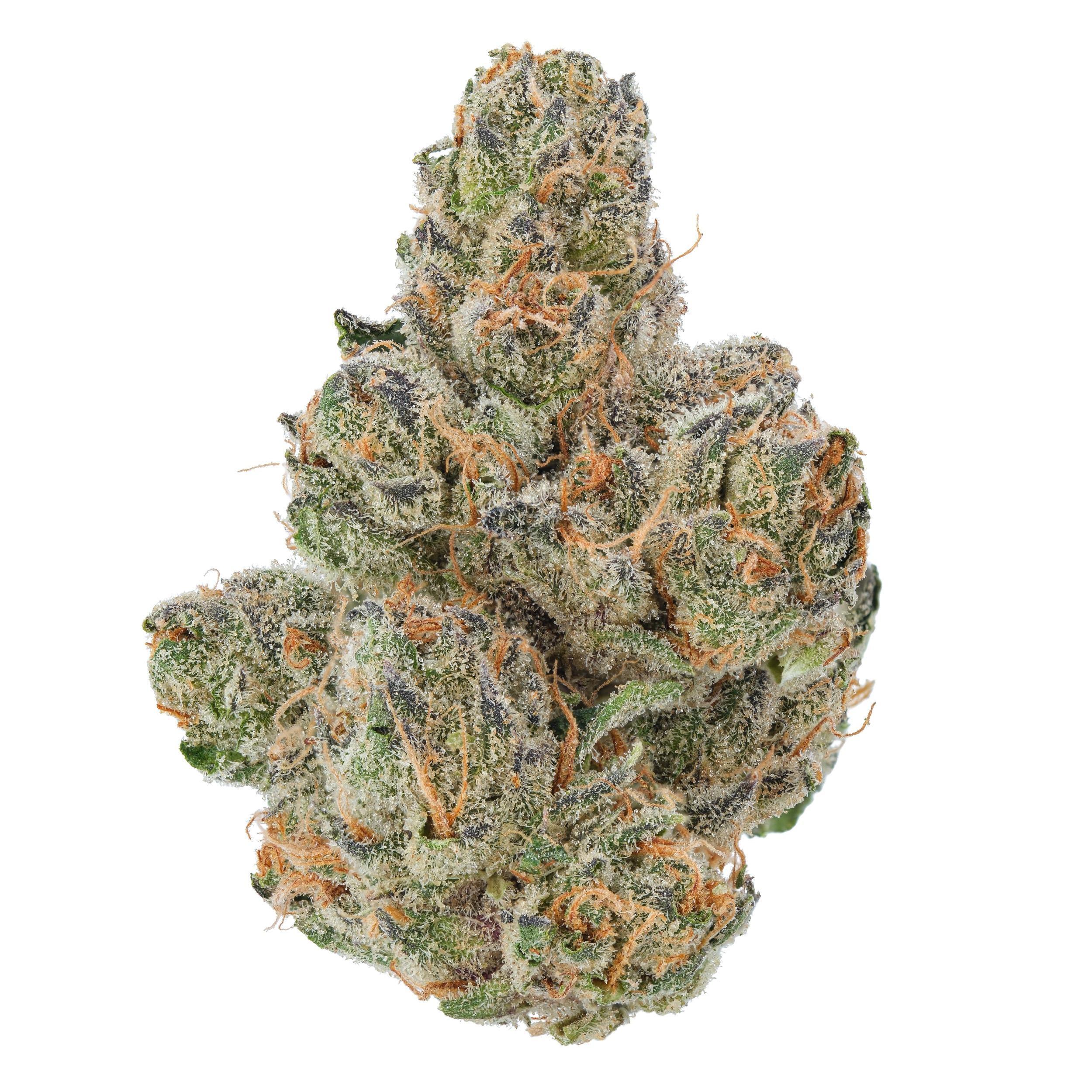The product image for Blackberry Kush THCa Flower
