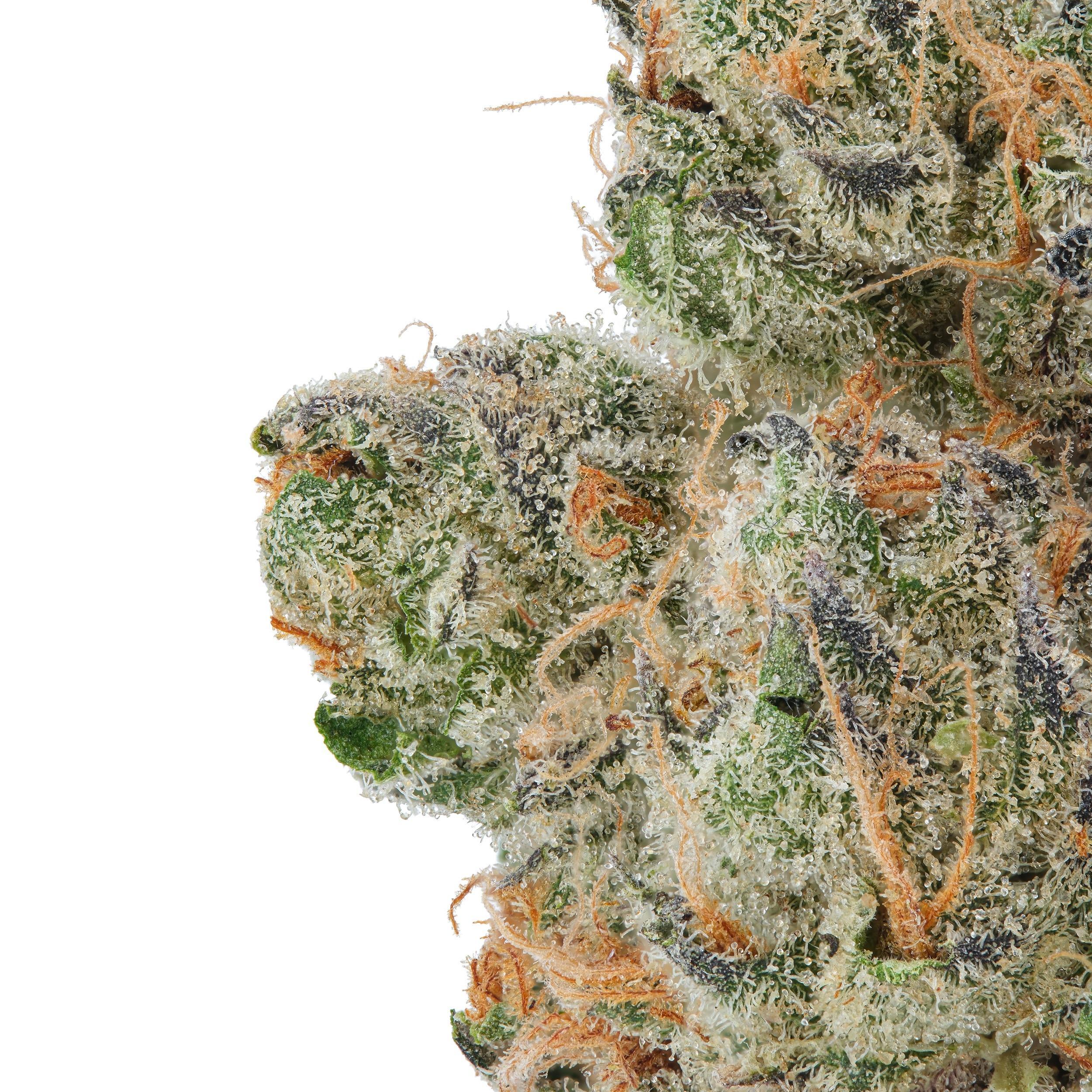 A gallery image for Blackberry Kush THCa Flower