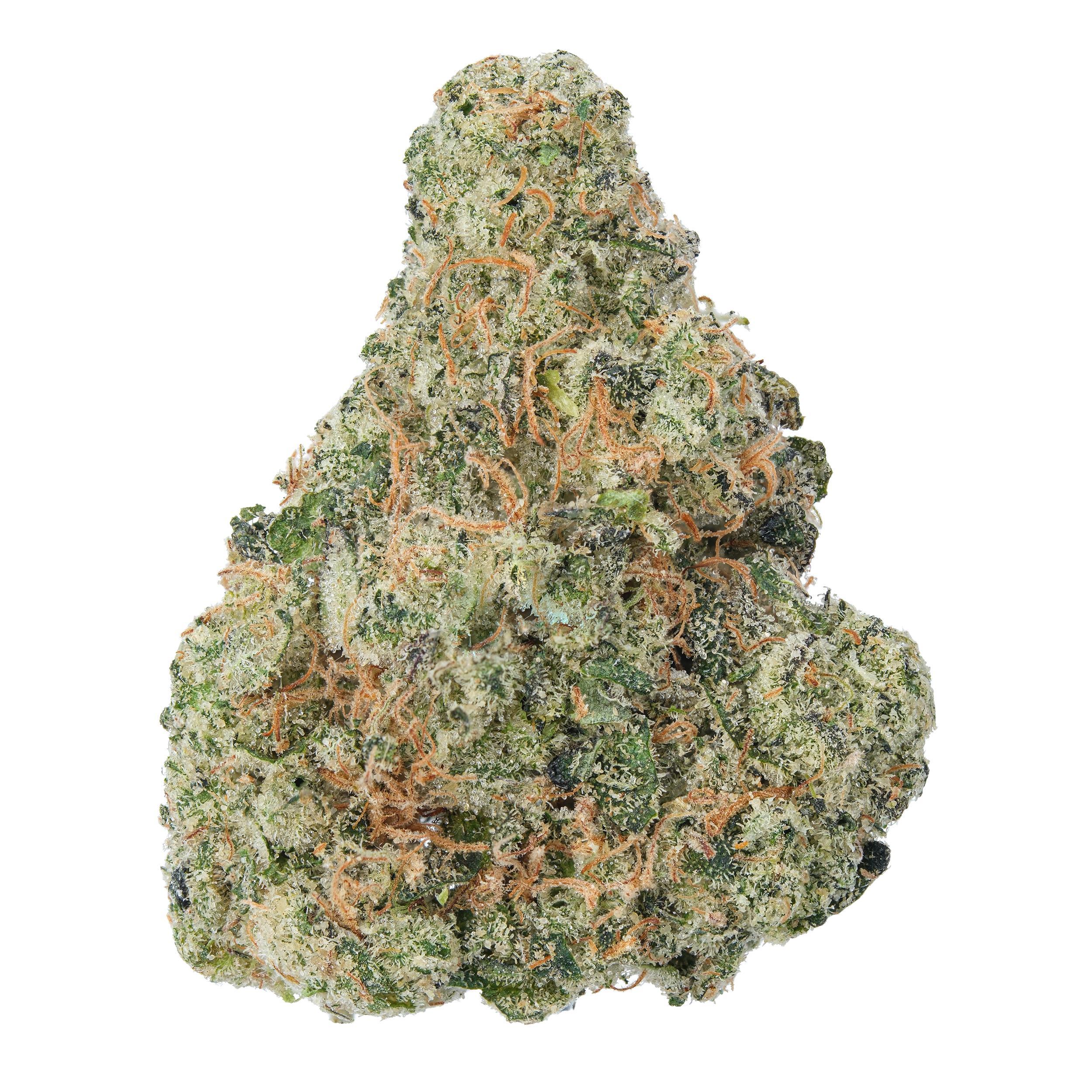 The product image for Black Maple THCa Flower