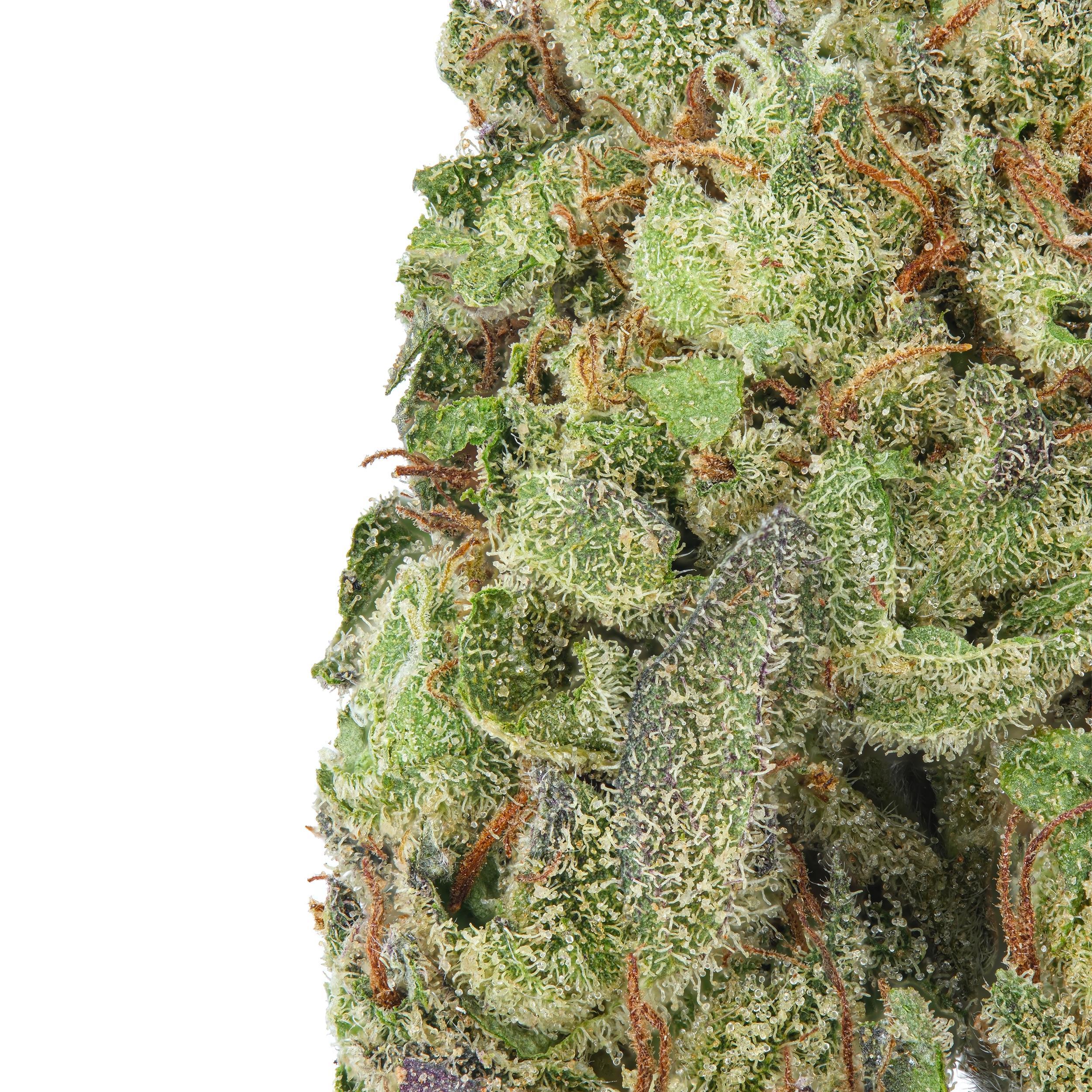 A gallery image for Lemon Kush THCa Flower