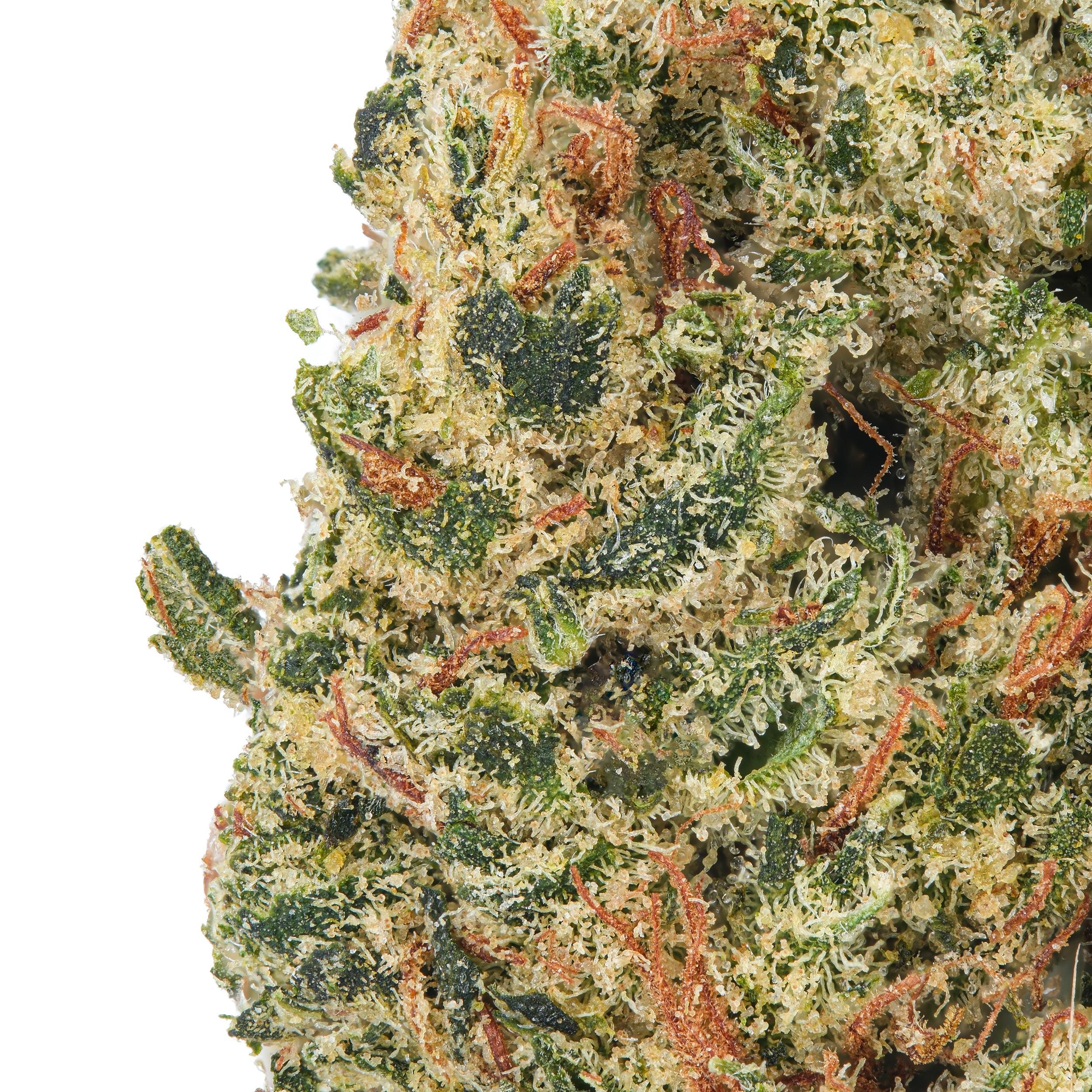 A gallery image for Candyland THCa Flower