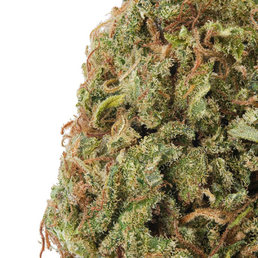 Sour Cream CBD Hemp Flower, photo 2 of 2