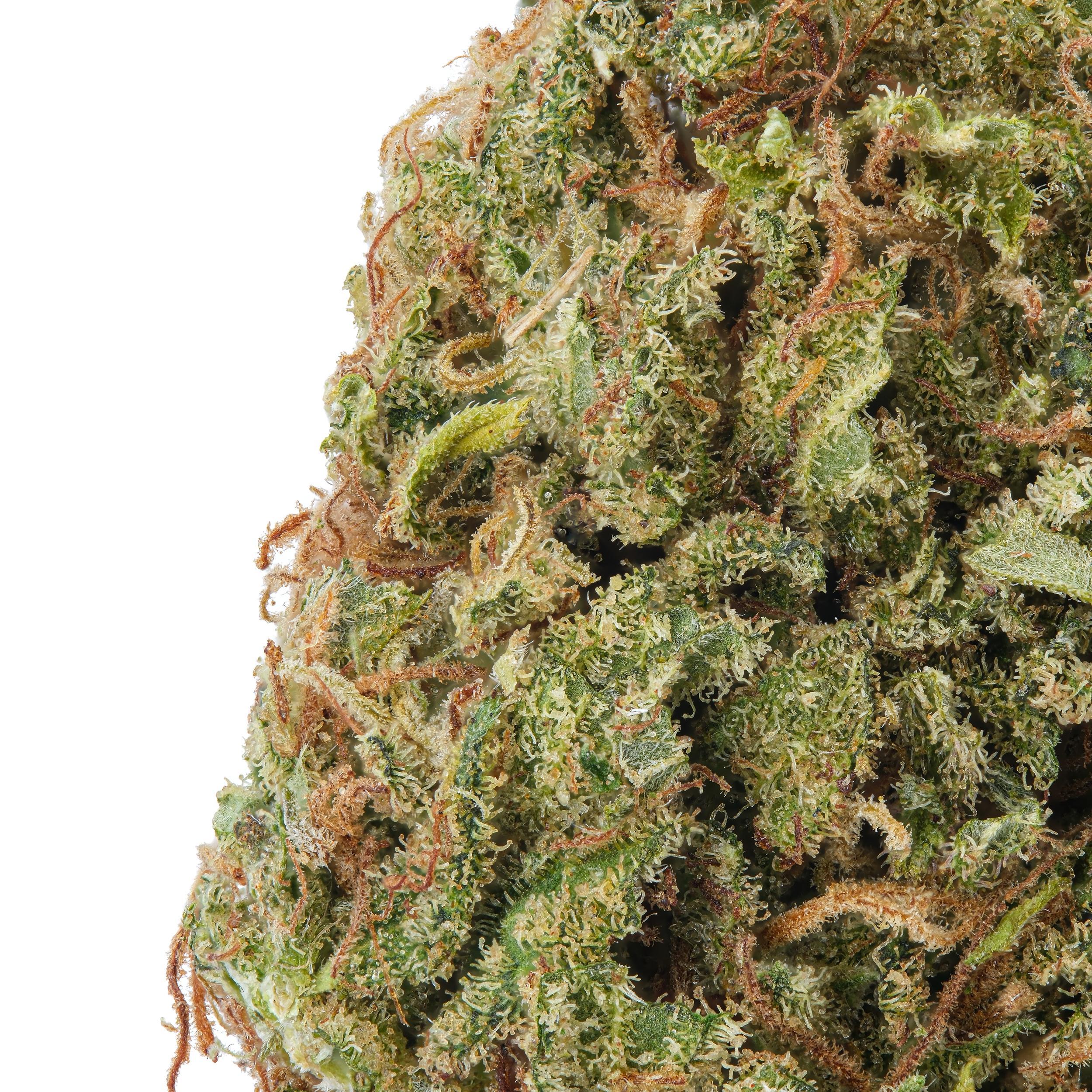 A gallery image for Sour Cream CBD Hemp Flower