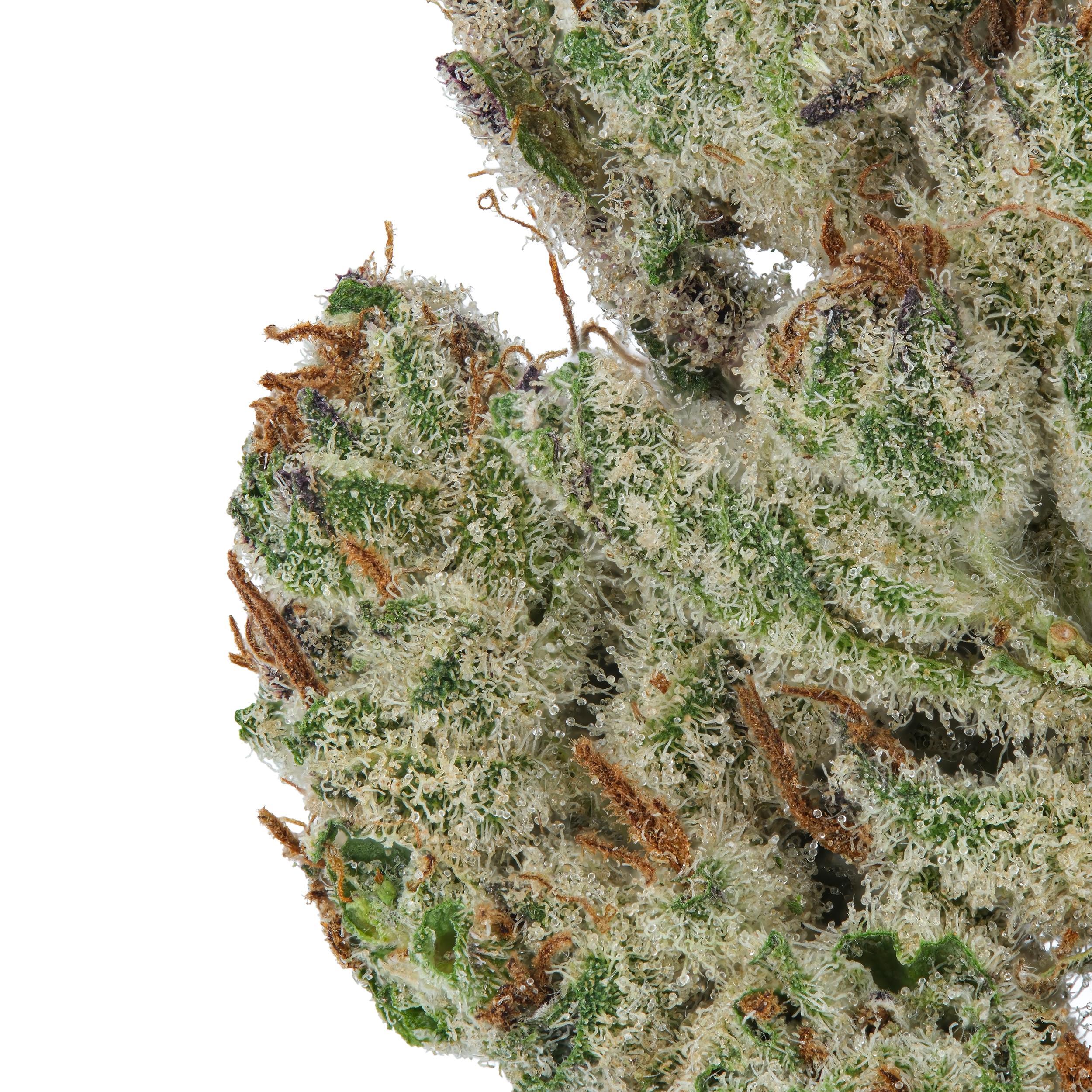 A gallery image for 6ixth Sense THCa Flower