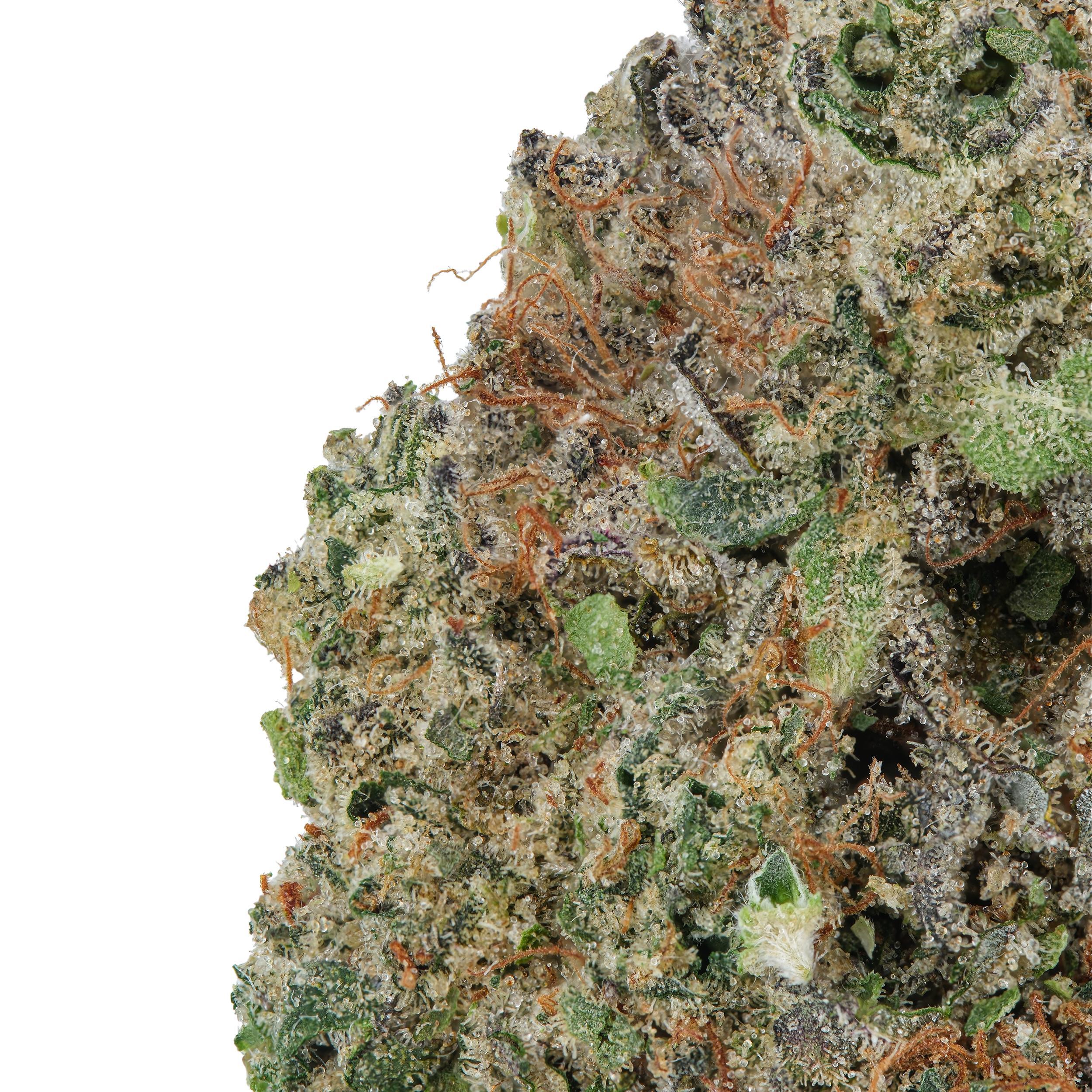 A gallery image for Berry Black Jack THCa Flower