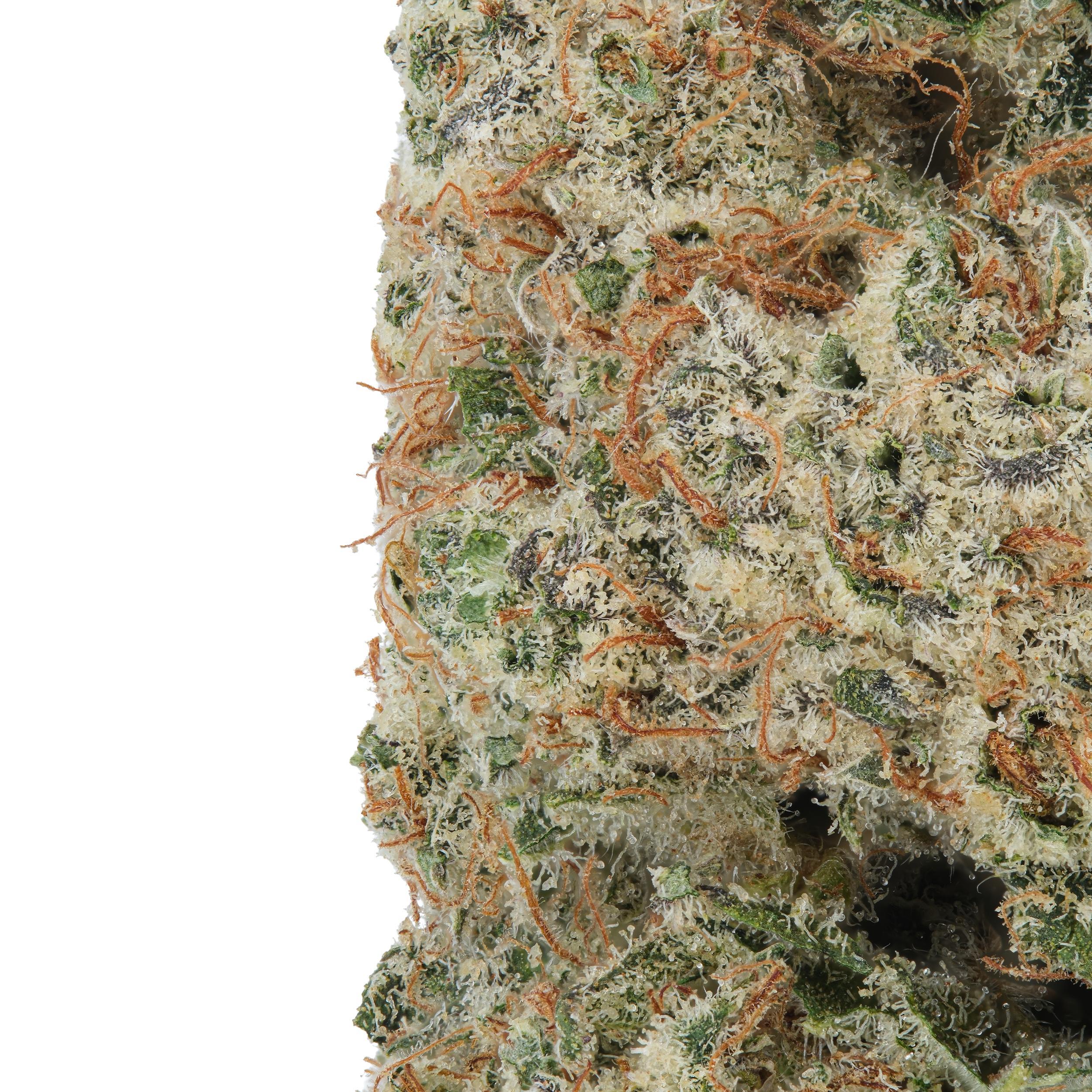 A gallery image for Creme De La Creme CBD Hydroponic Hemp Flower
