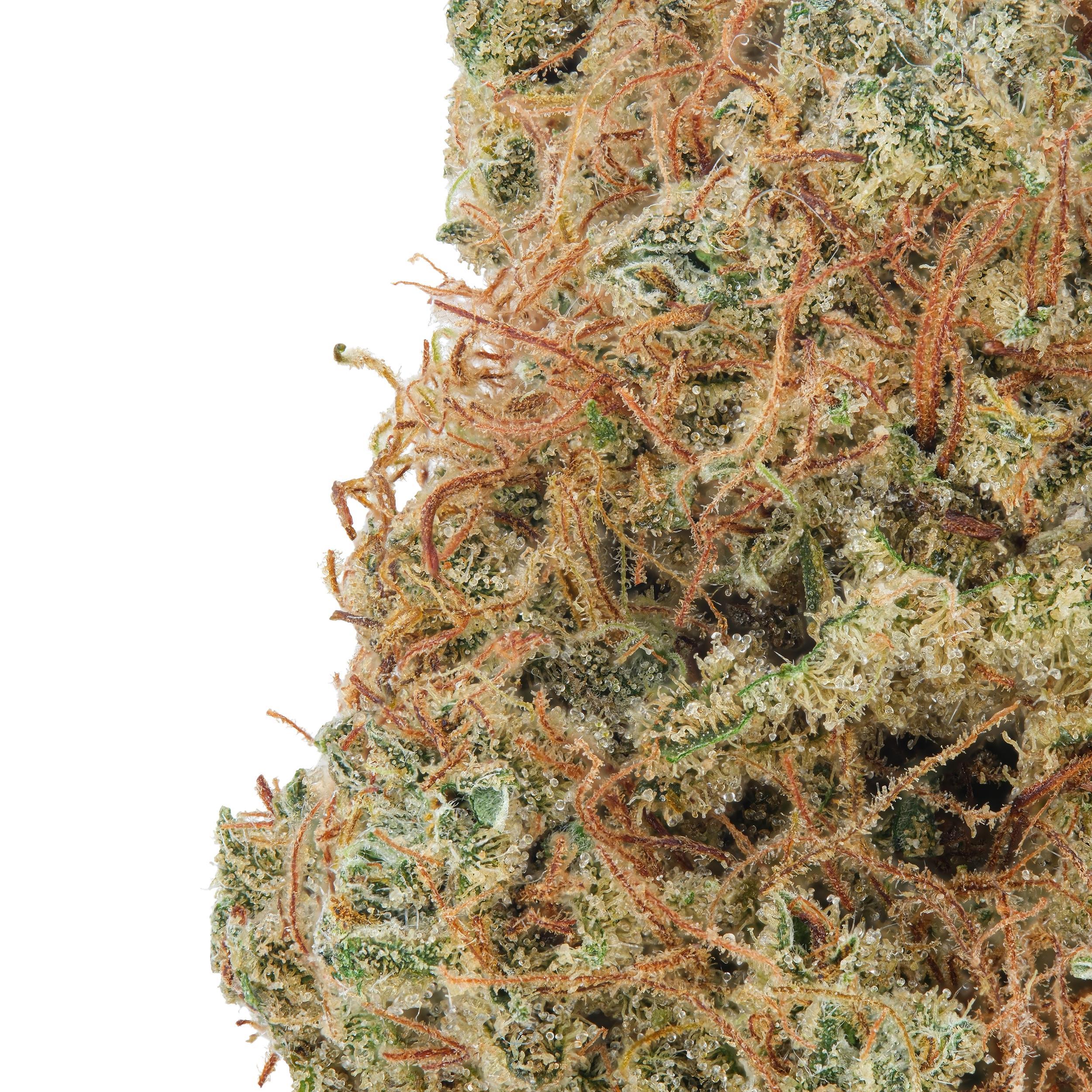 A gallery image for Flow Gleaux CBD Hydroponic Hemp Flower