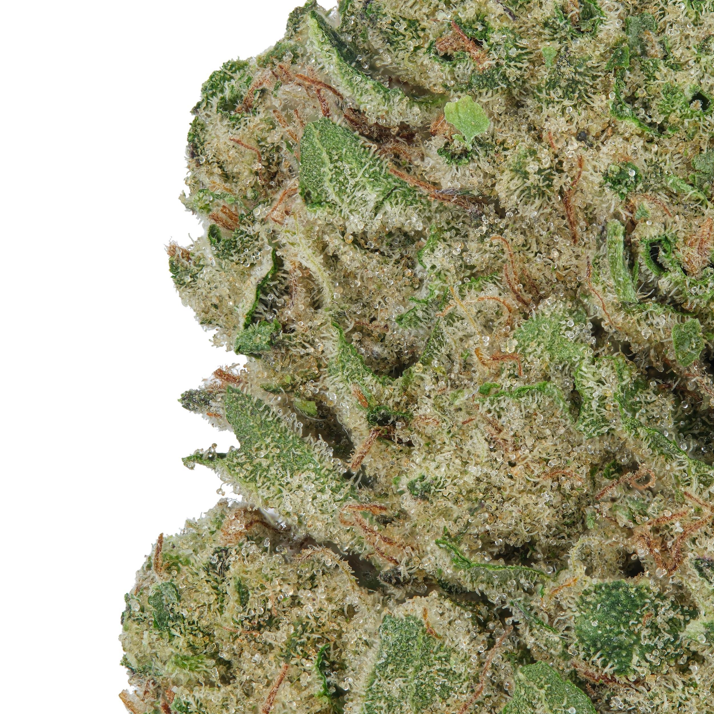 A gallery image for Royal Chemdog THCa Flower