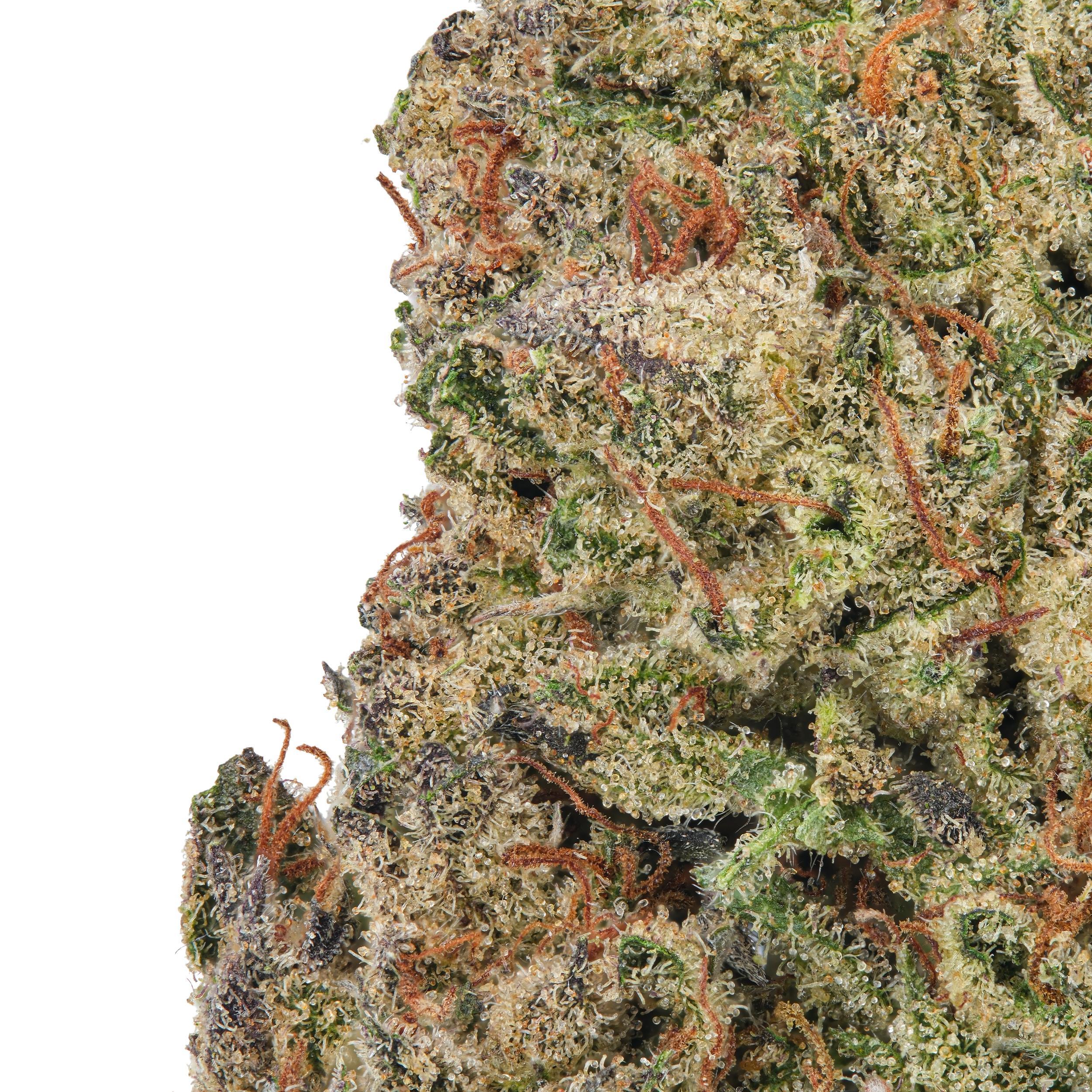 A gallery image for Alien Sherbet THCa Flower
