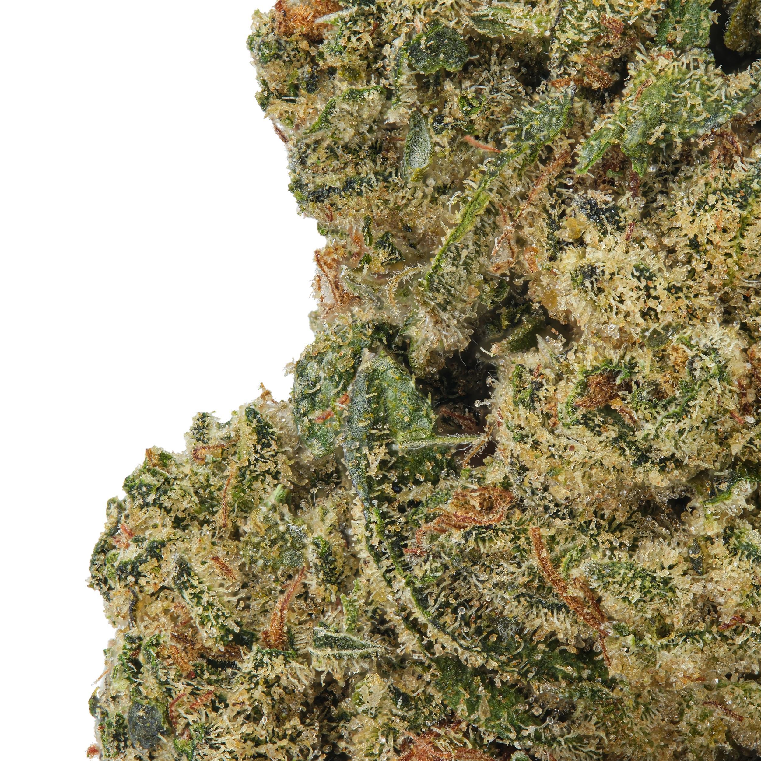 A gallery image for C13 Haze THCa Flower