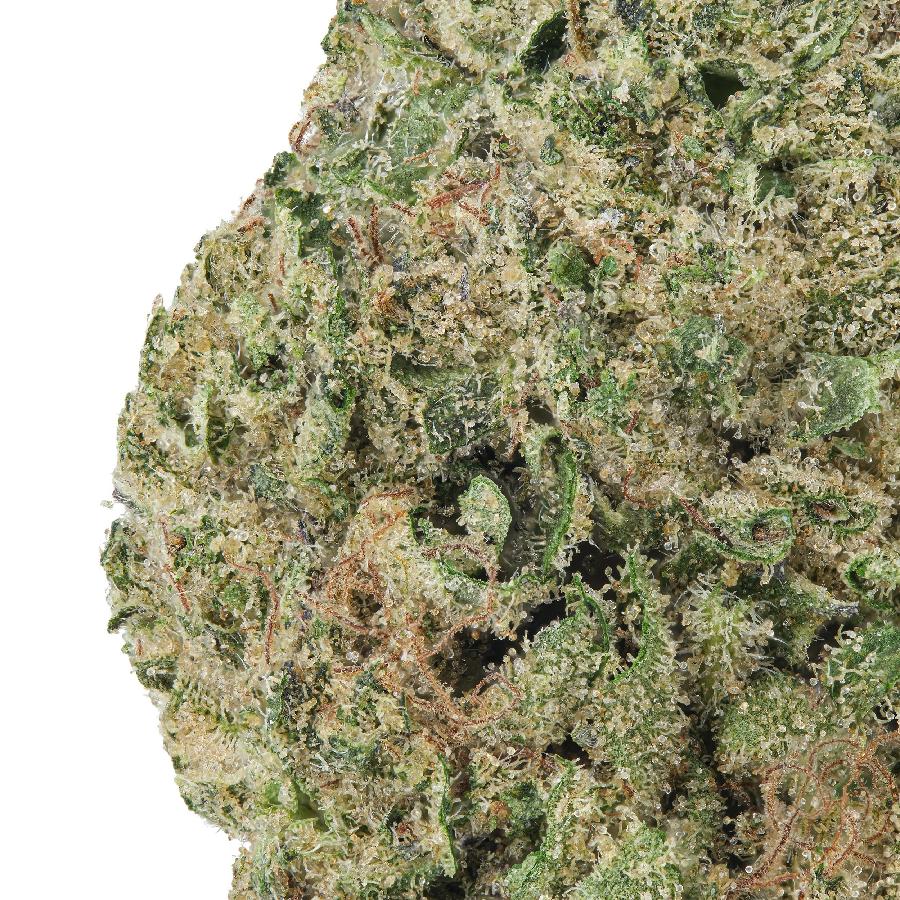 A gallery image for Illuminati OG THCa Flower