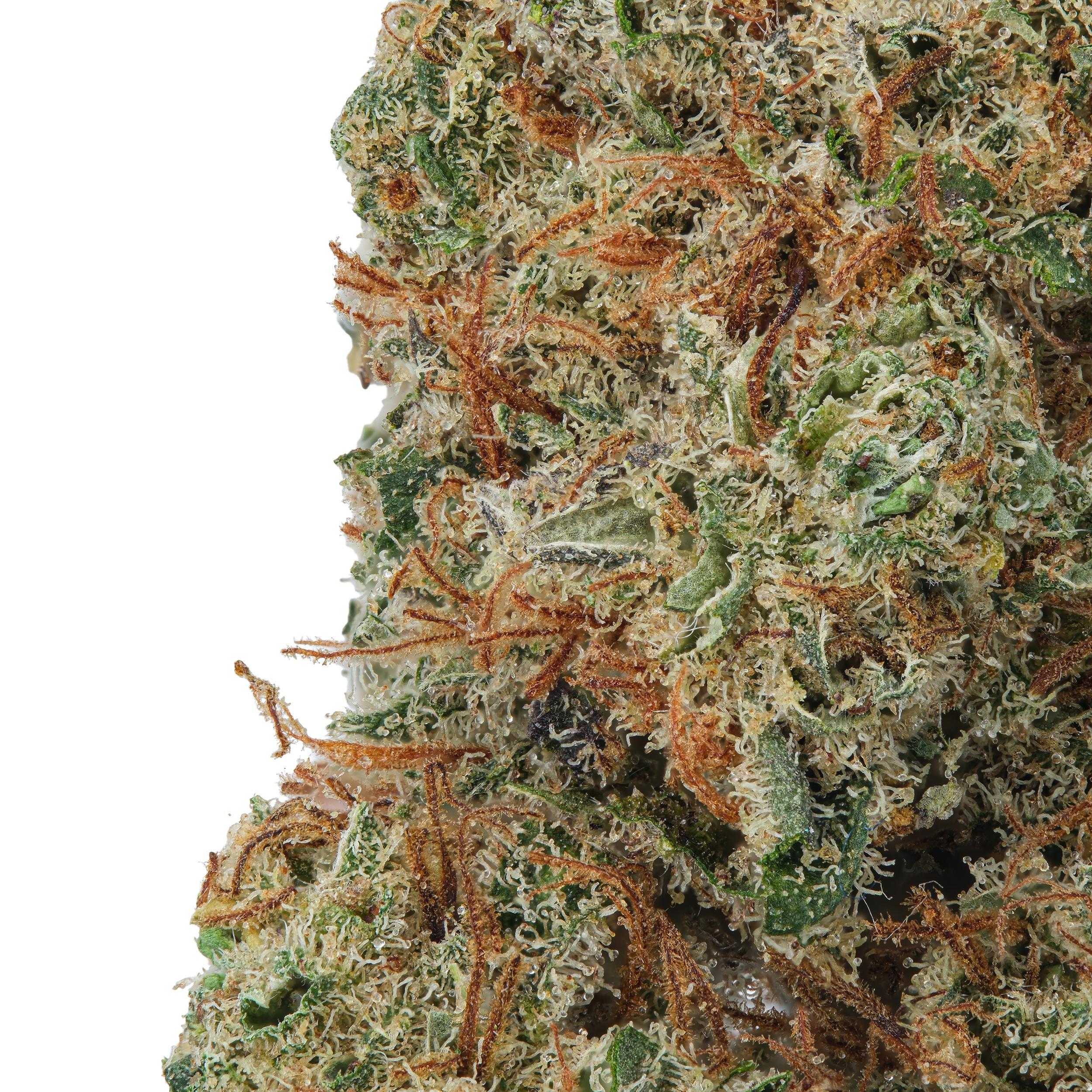 A gallery image for Skunk Butter CBD Hydroponic Hemp Flower