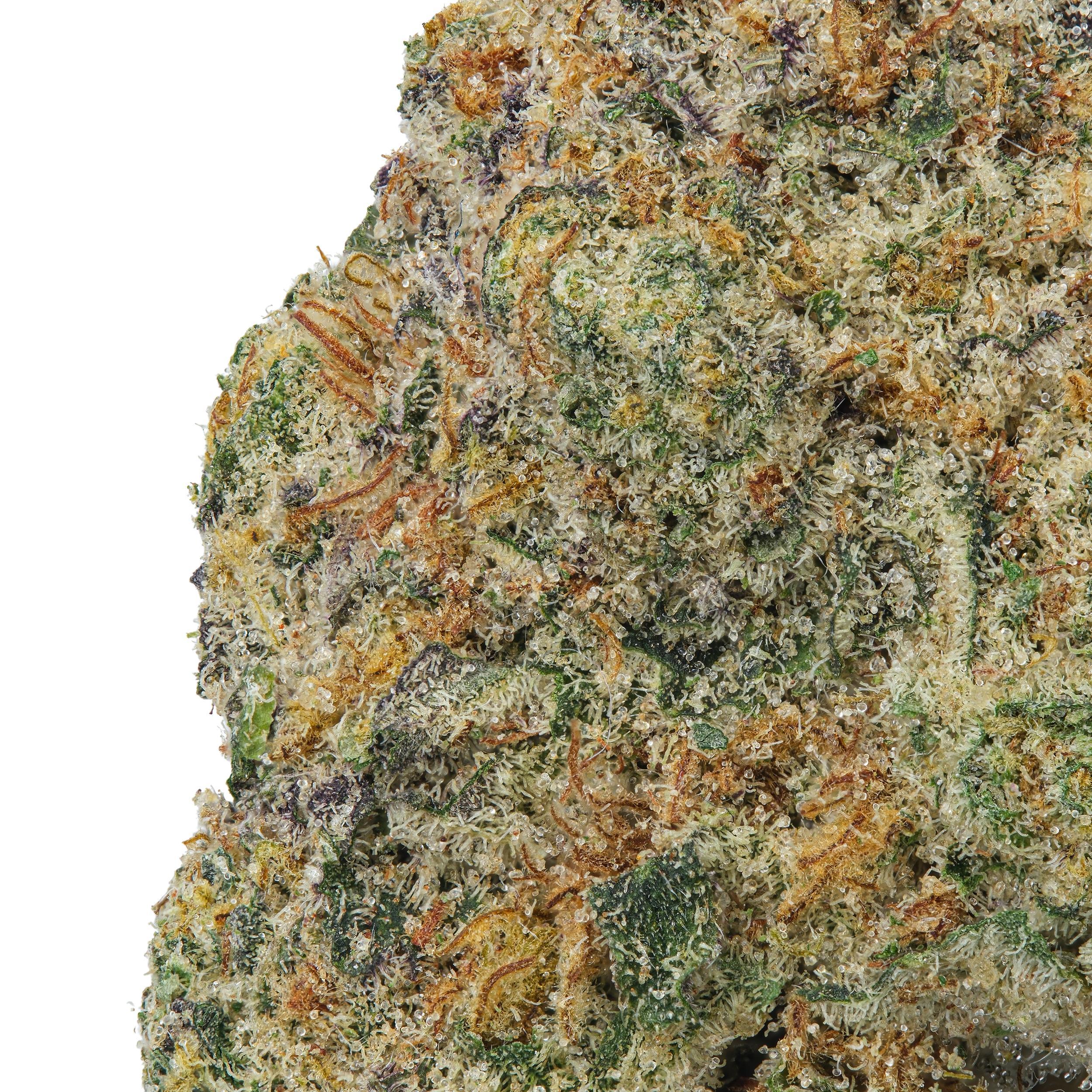 A gallery image for Chocolate Haze THCa Flower