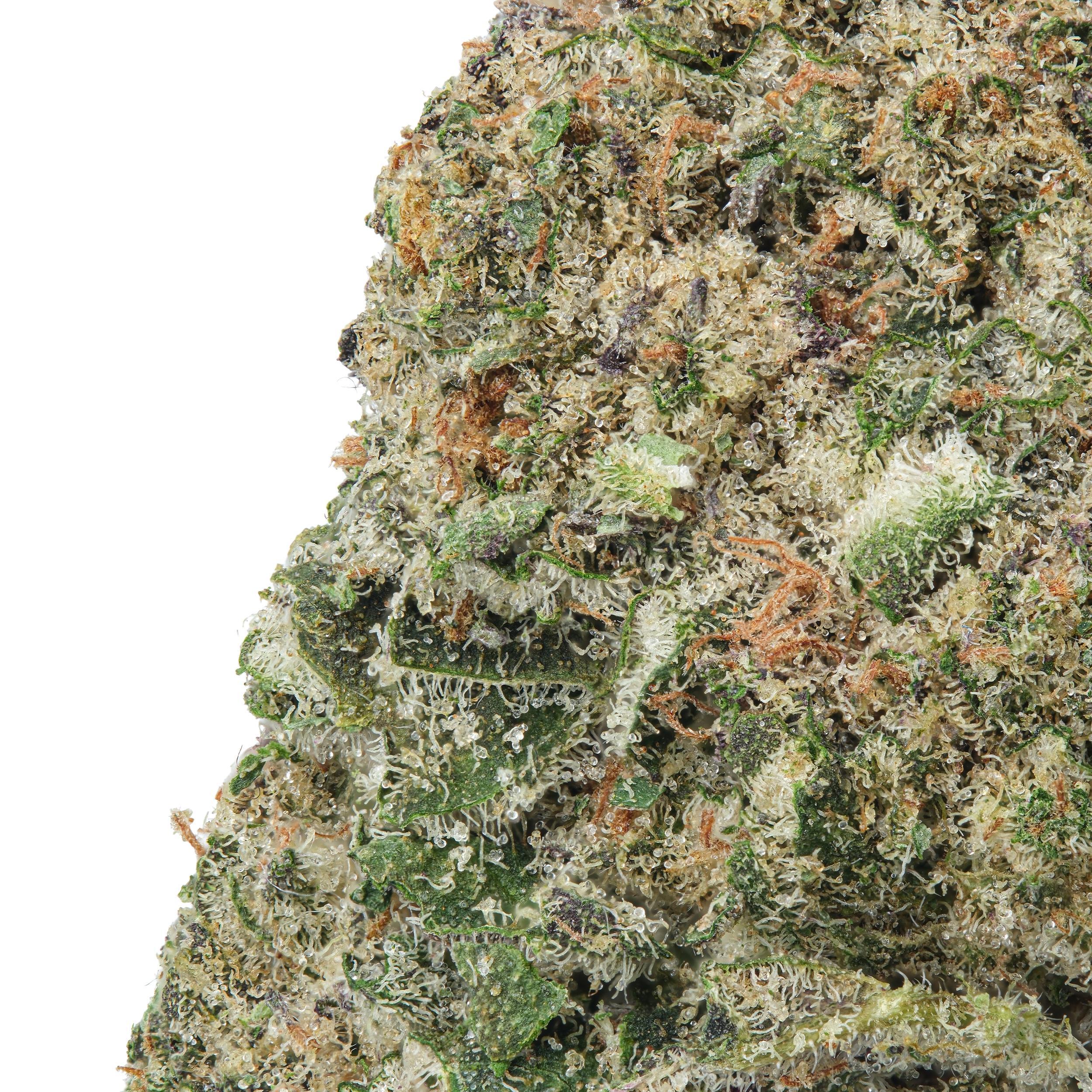 A gallery image for Cream Caramel THCa Flower