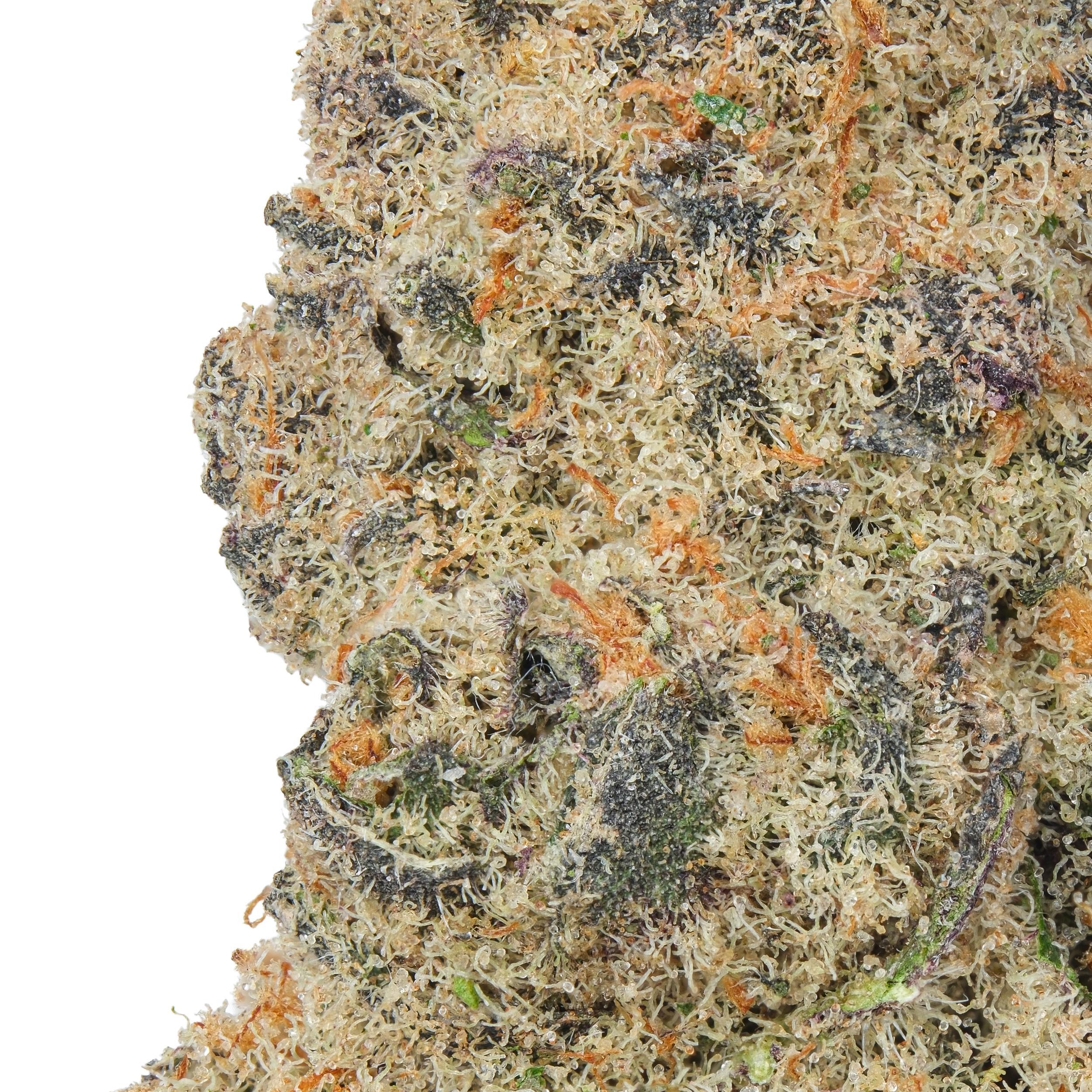 A gallery image for First Class Funk THCa Flower