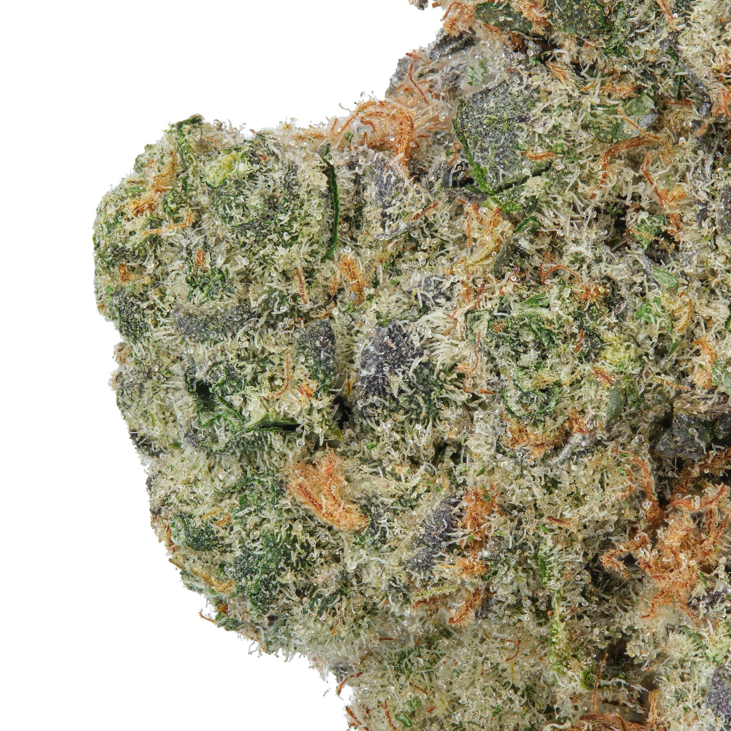 A gallery image for Gary Payton THCa Flower