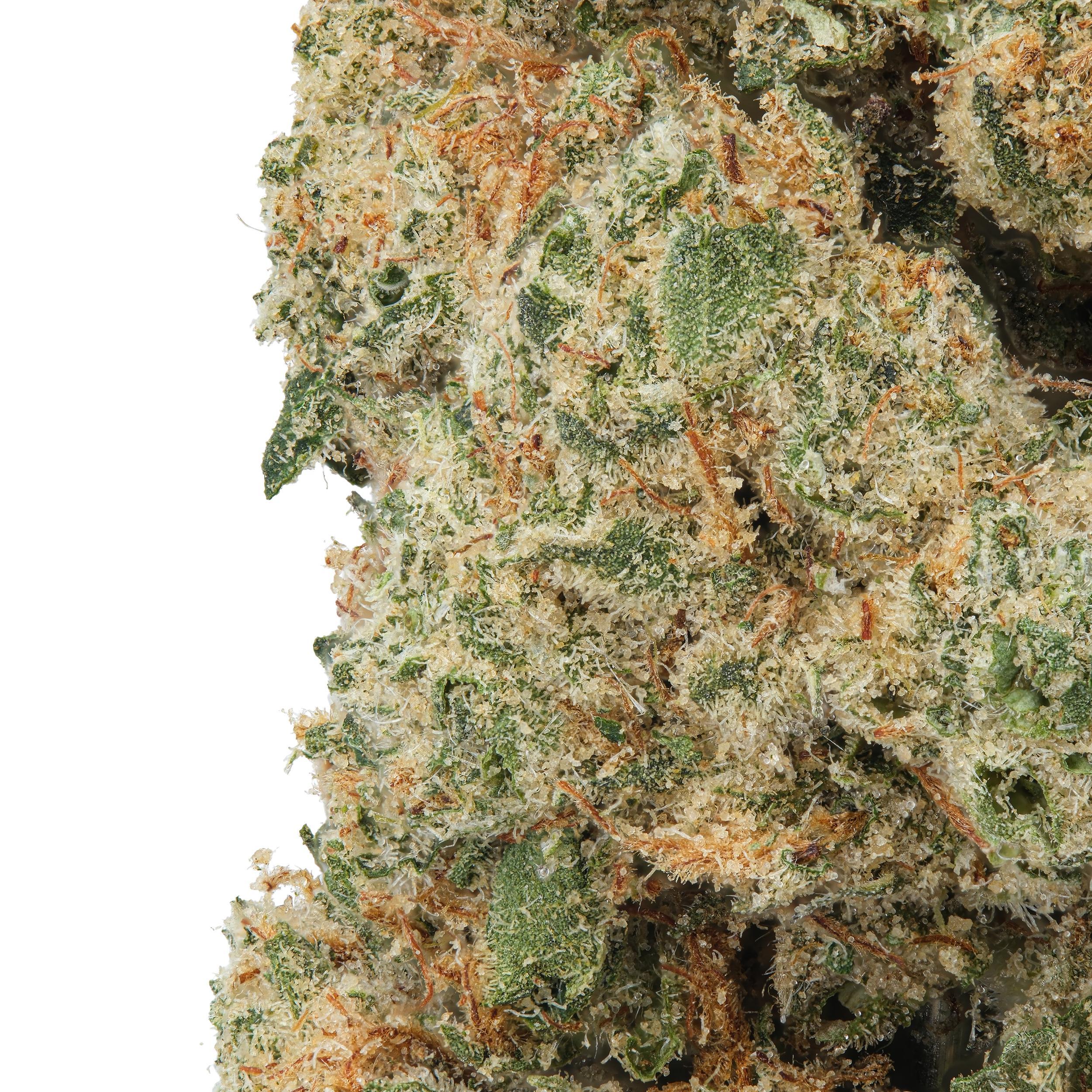 A gallery image for Sweet Lemon Monkey THCa Flower